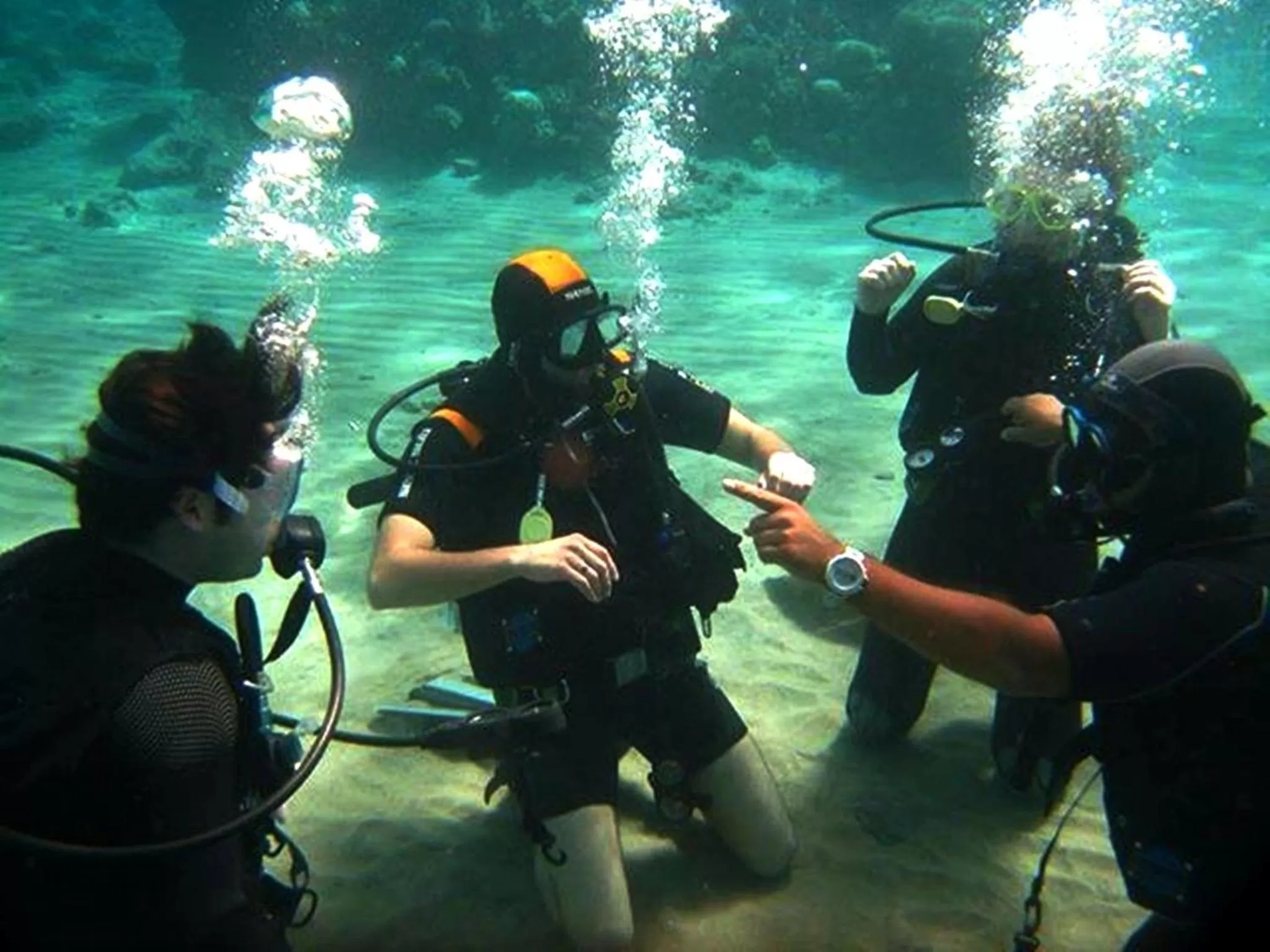 Diving, Snorkeling/Diving in Arab Divers Dive Center and Bed & Breakfast