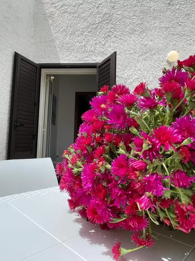 Apartment with Terrace in Sweet Life Apartment with Terrace in Sweet Life