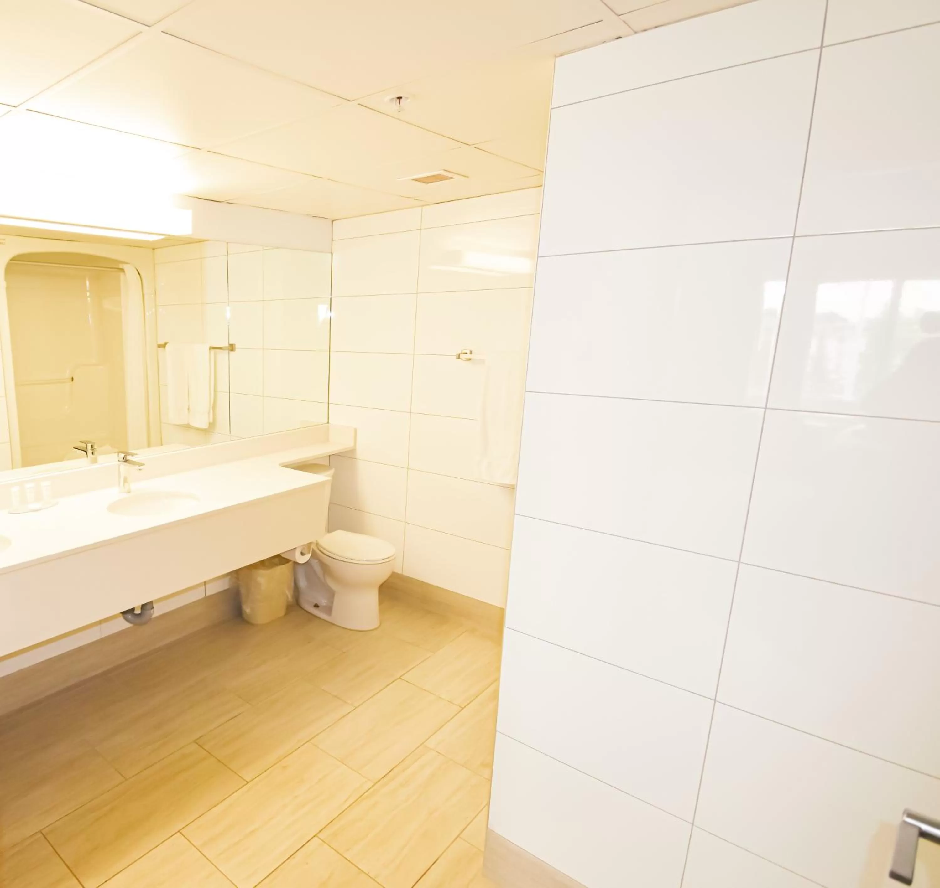 Bathroom in Canad Inns Destination Centre Club Regent Casino Hotel