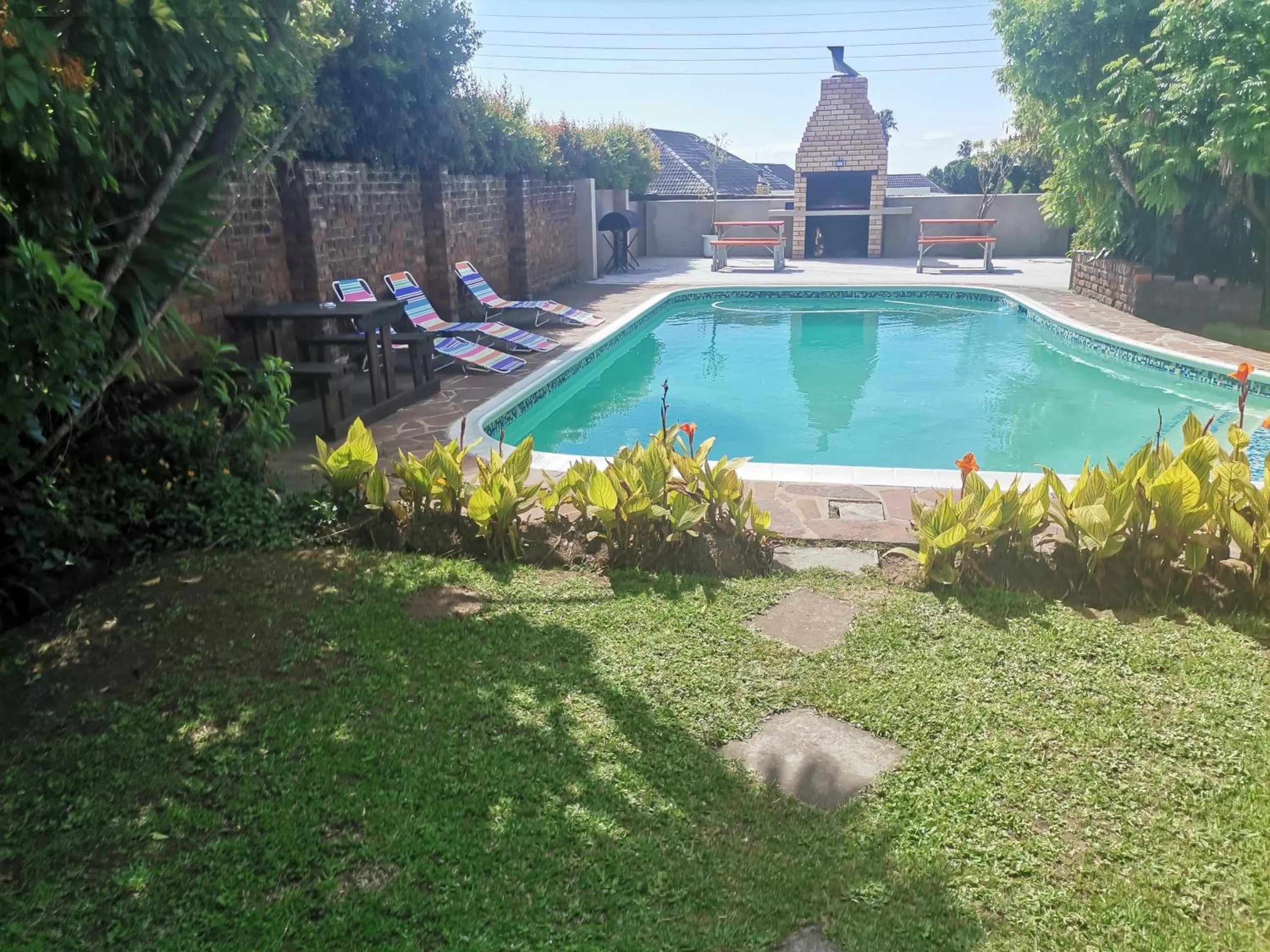 Day in Palm Tree BnB