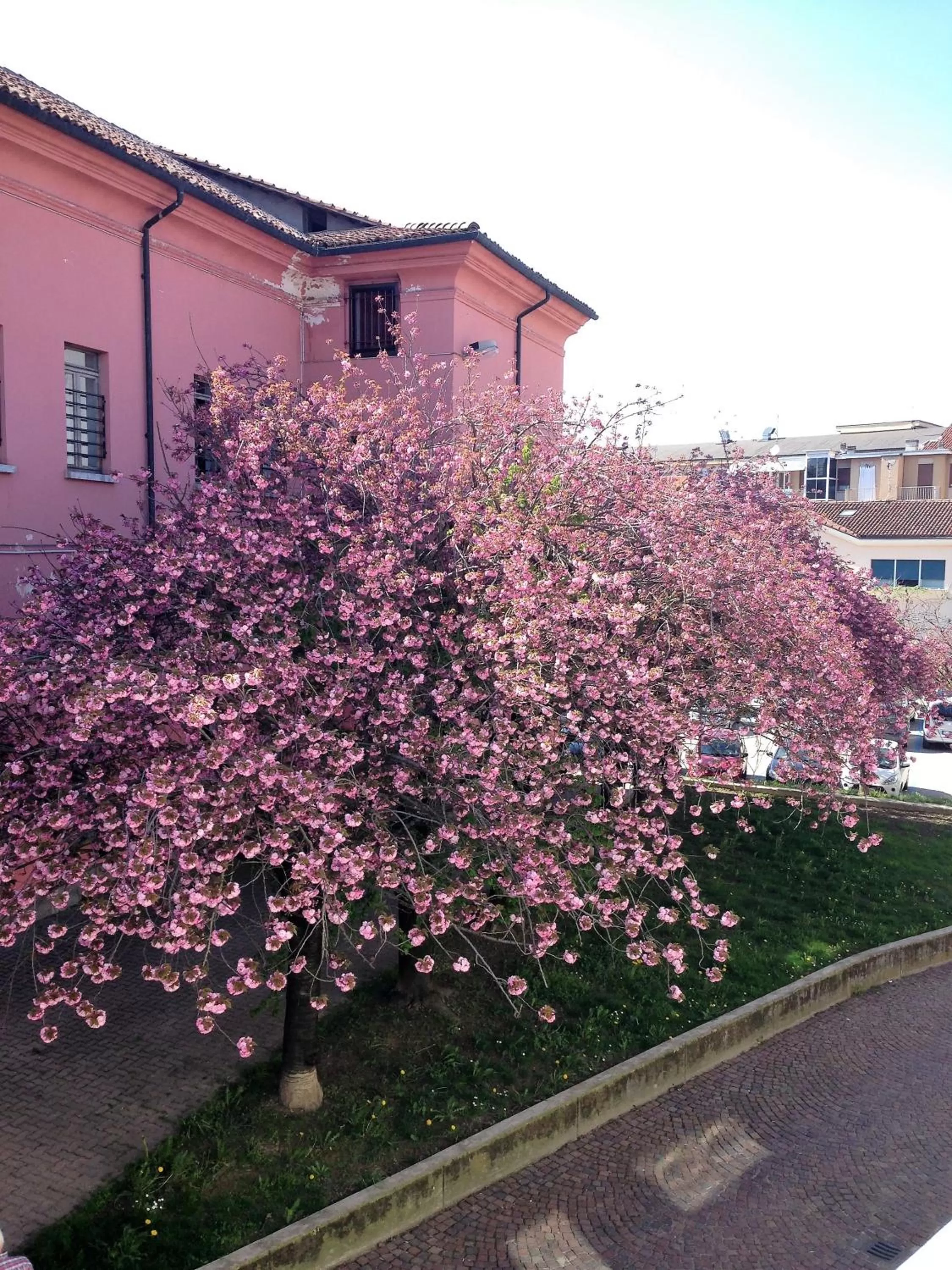 Neighbourhood, Property Building in Casa Agnese