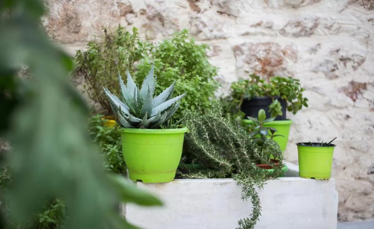 A litte Taste of Home Guest House