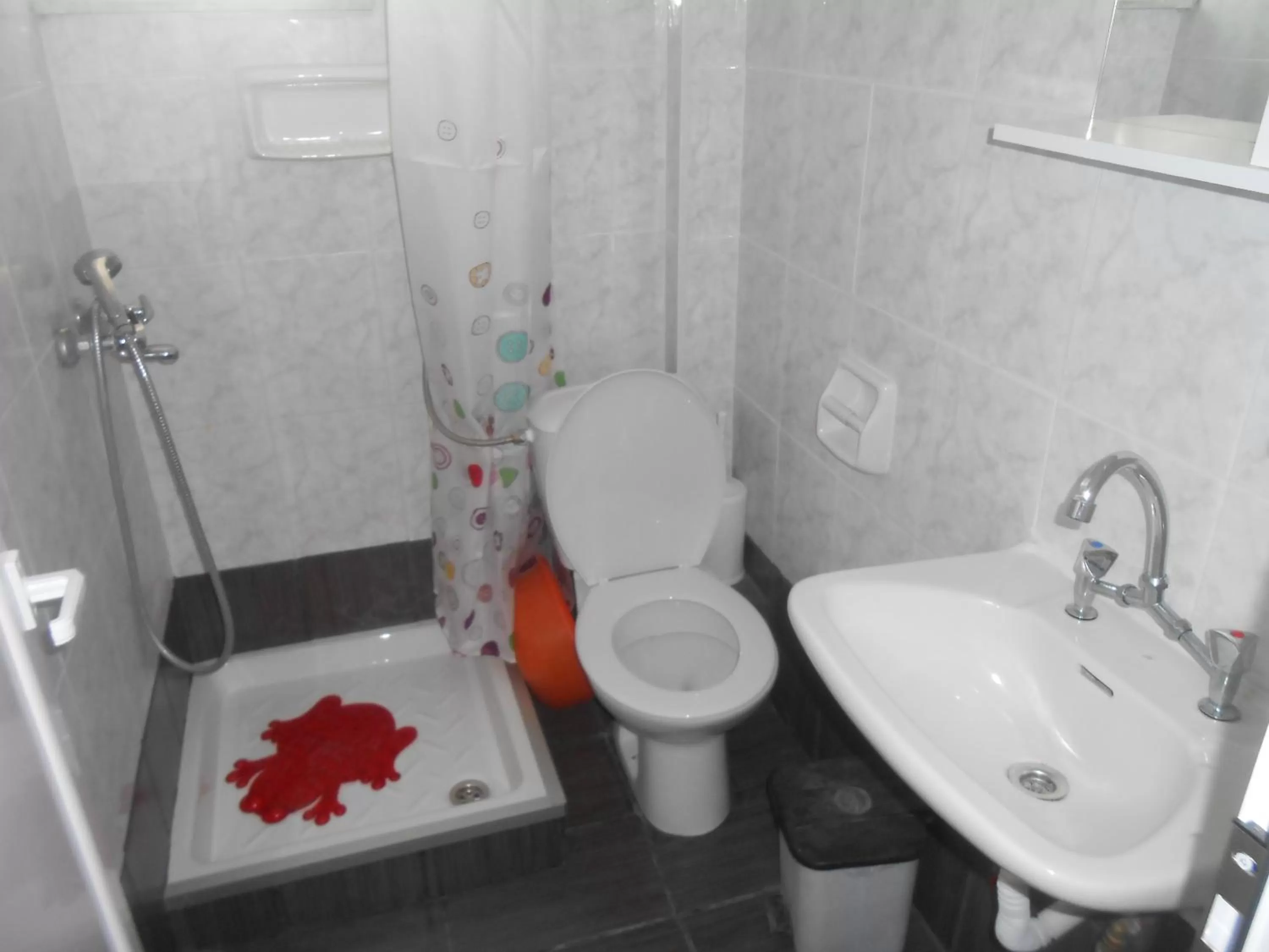 Shower, Bathroom in Hotel Germany