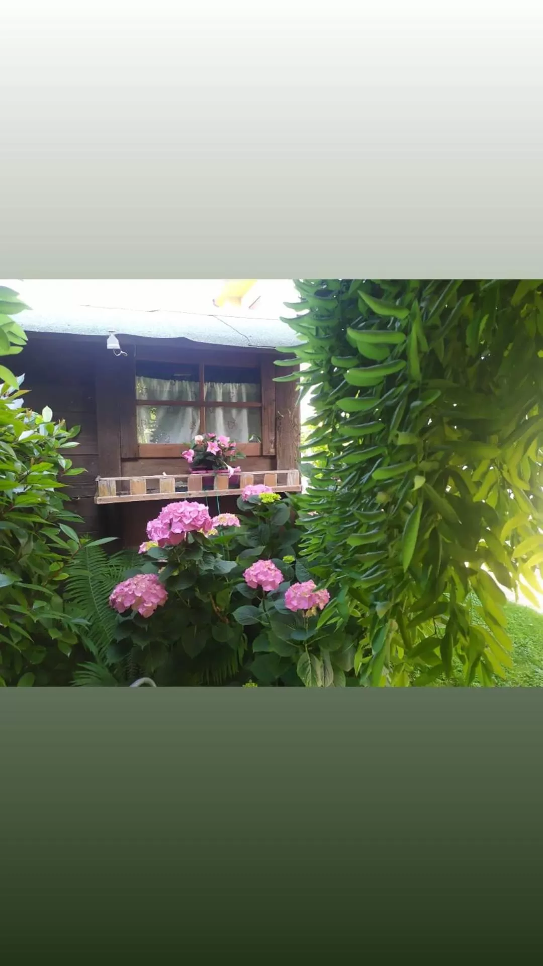 Garden in Al Casale B&B