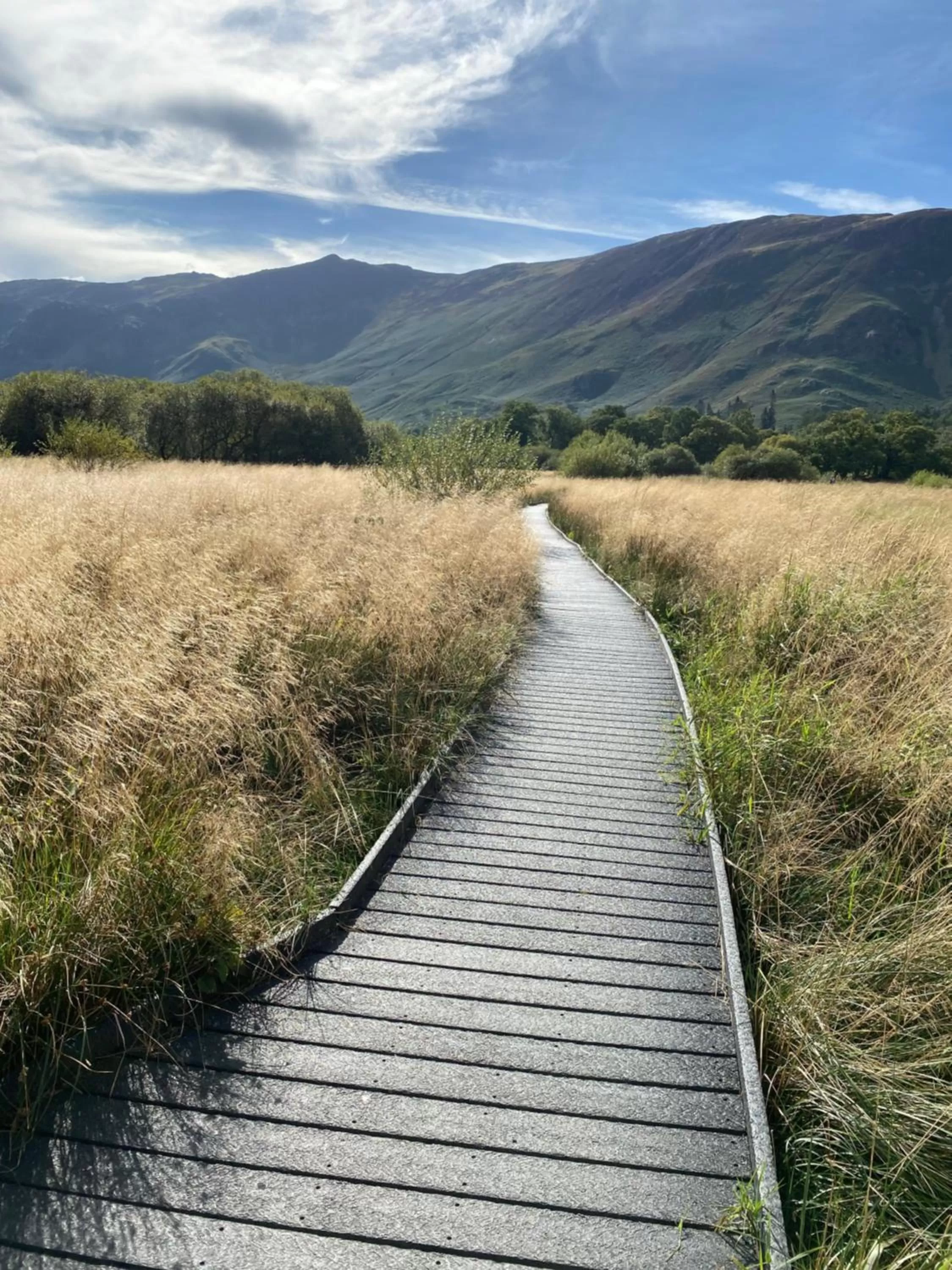 Natural Landscape in North View B&B