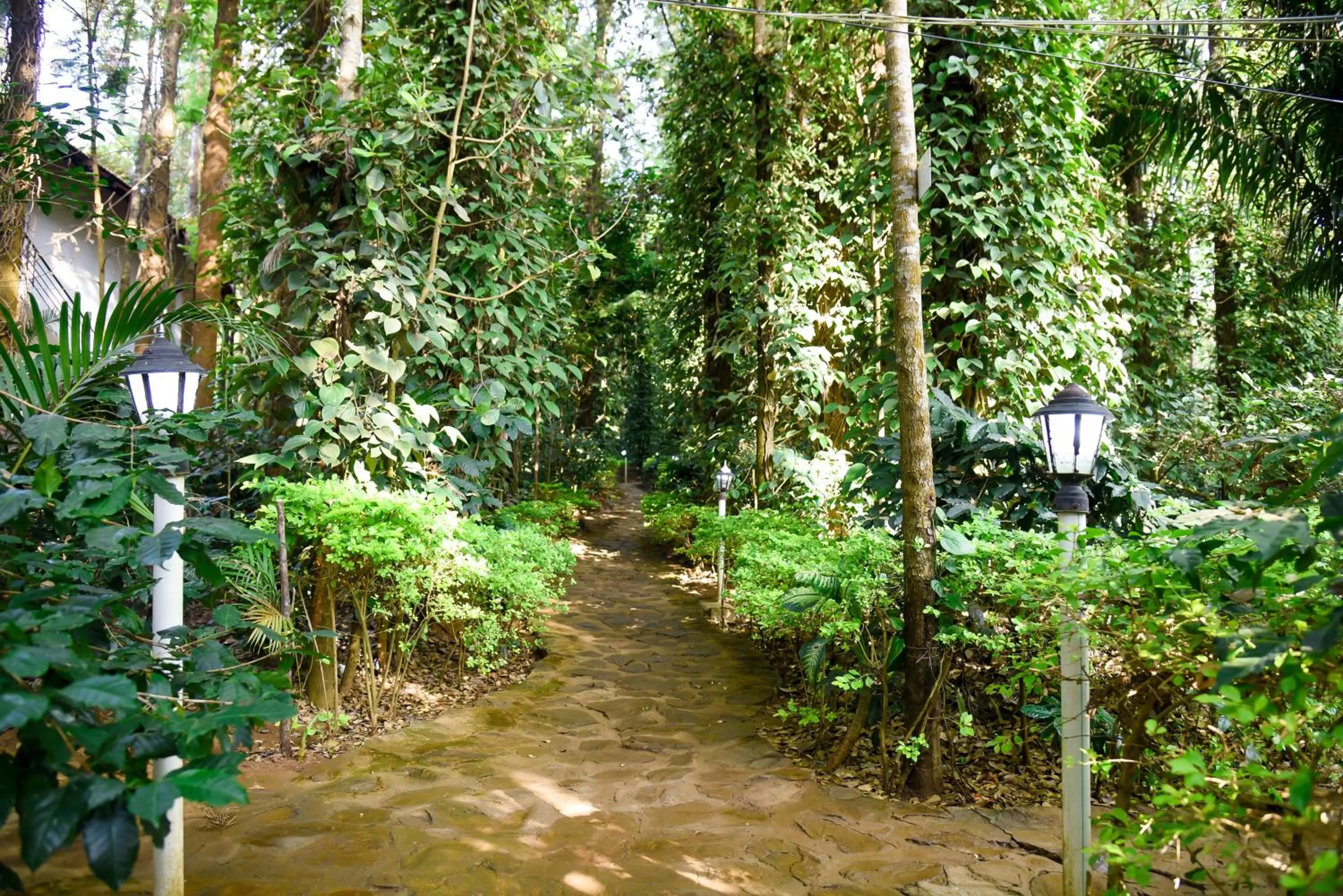 Garden in The Spectrum Resort, Chikmagalur