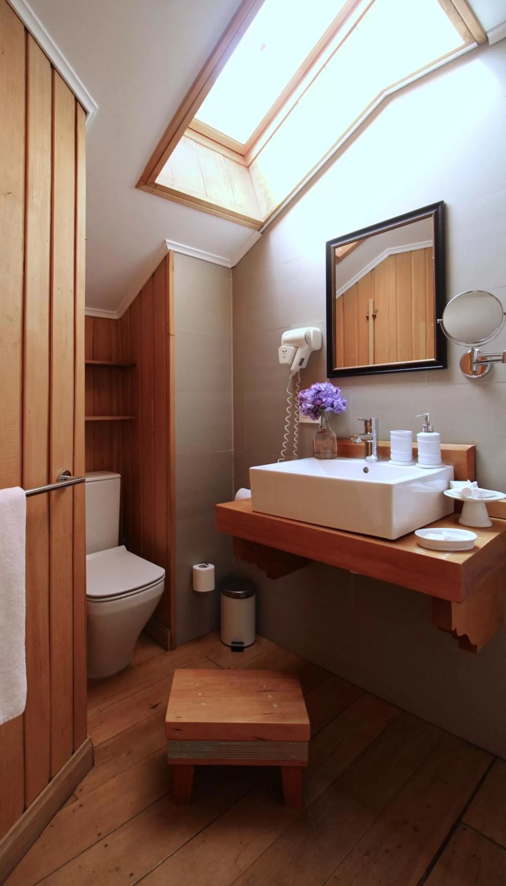 Toilet in Hotel Boutique Casa Werner