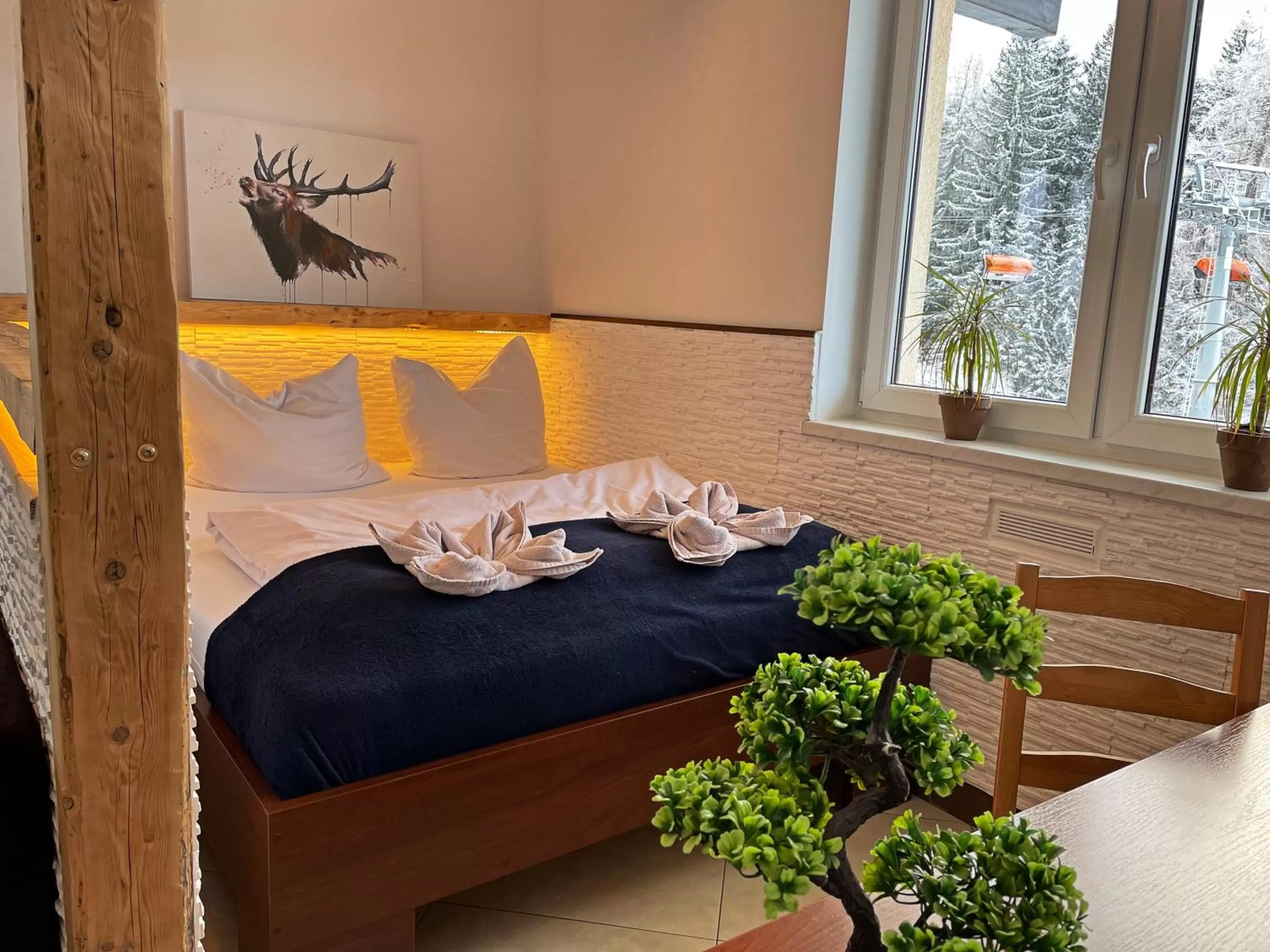 Bed in Safir przy samym WYCIĄGU