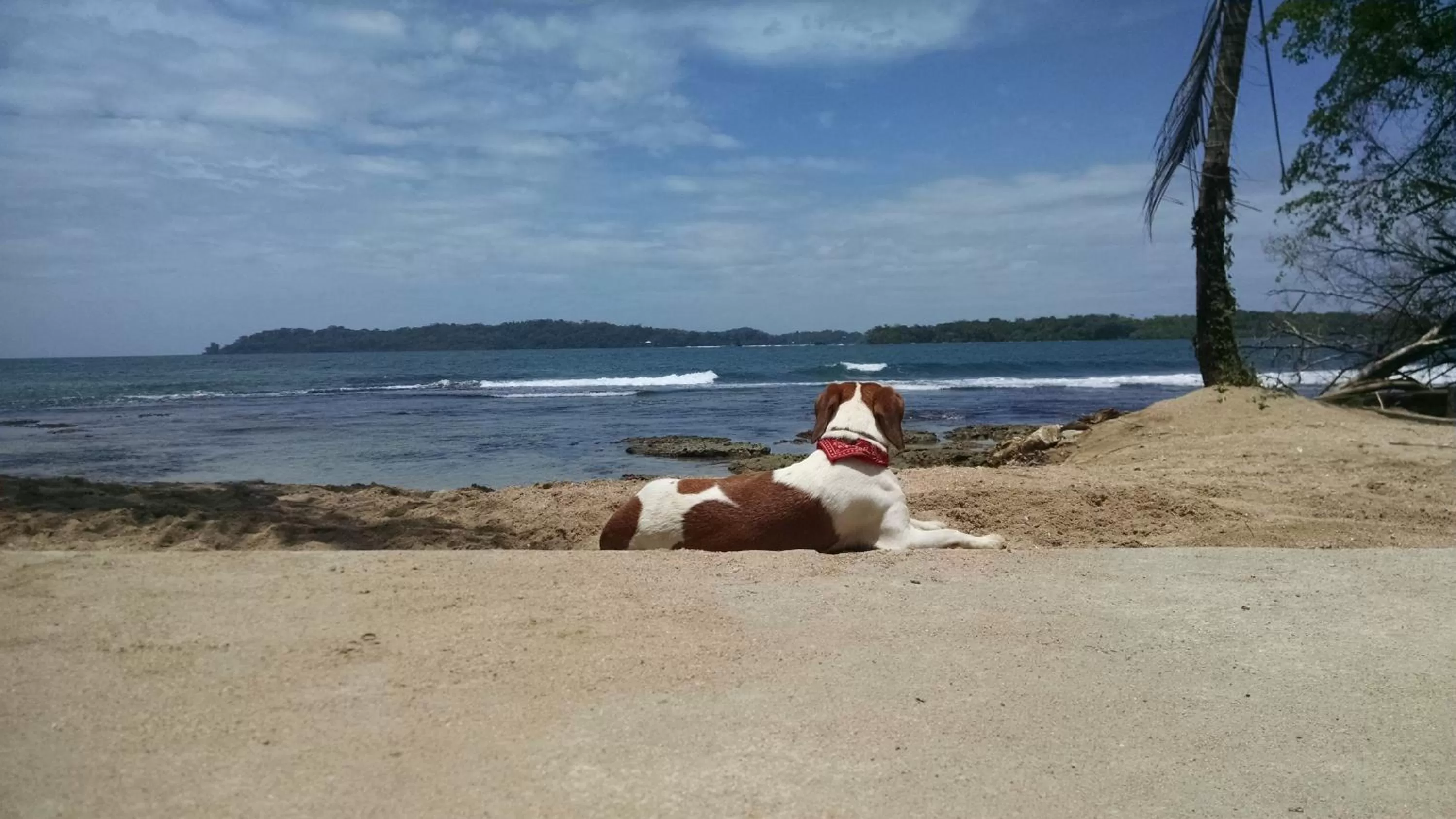 Restaurant/places to eat in Surf Break at Paunch