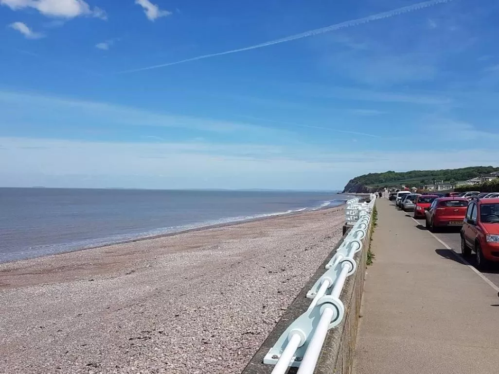 Beach in The Old Bookshop