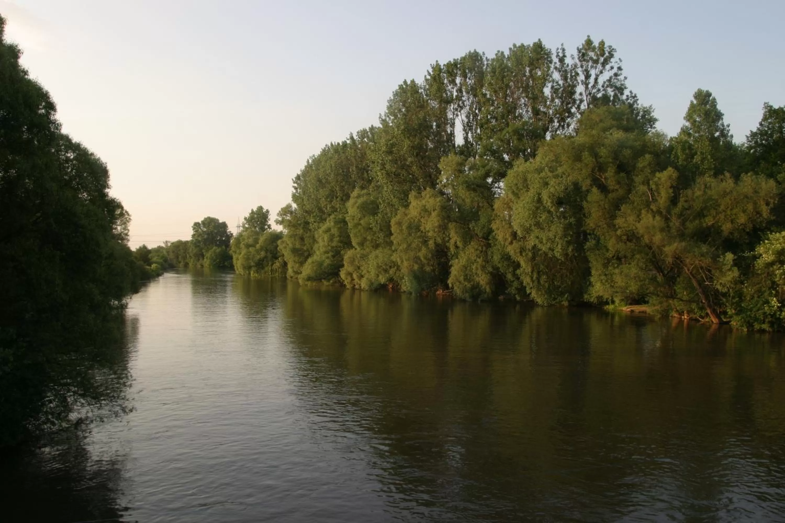 Area and facilities in Hotel und Gasthof Ritter St. Georg