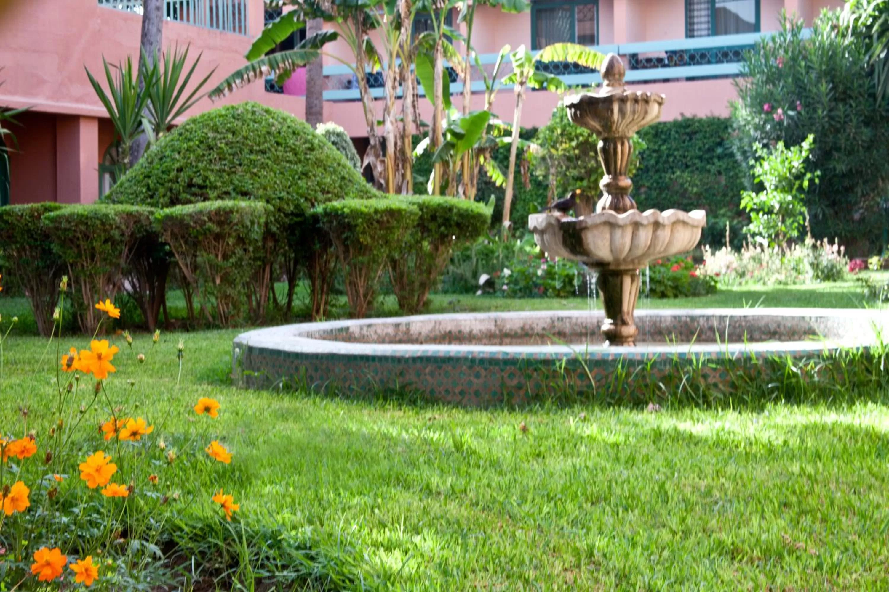Garden in Chems Hotel