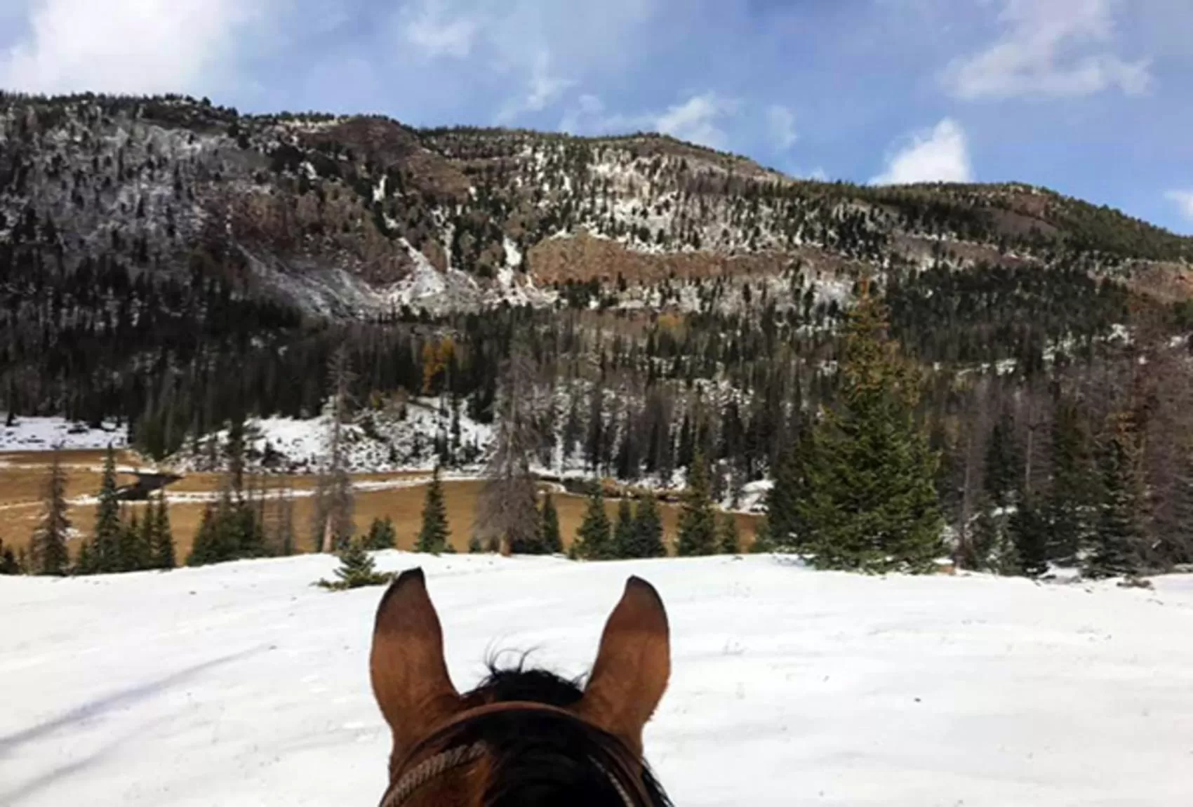 Day in Casa de Santa Ana da Beira