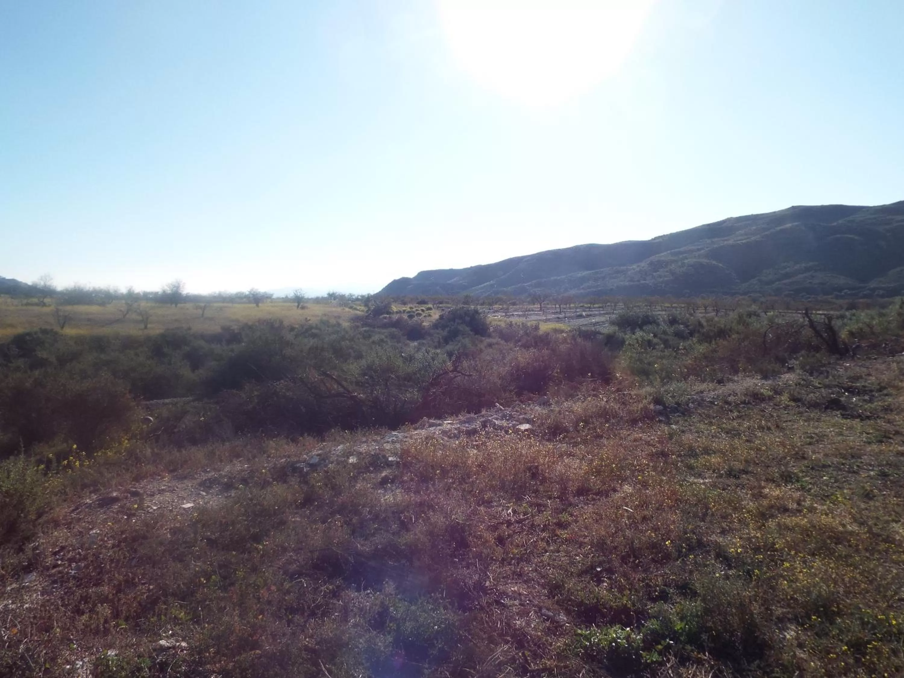 View (from property/room) in Cortijo Esperanza