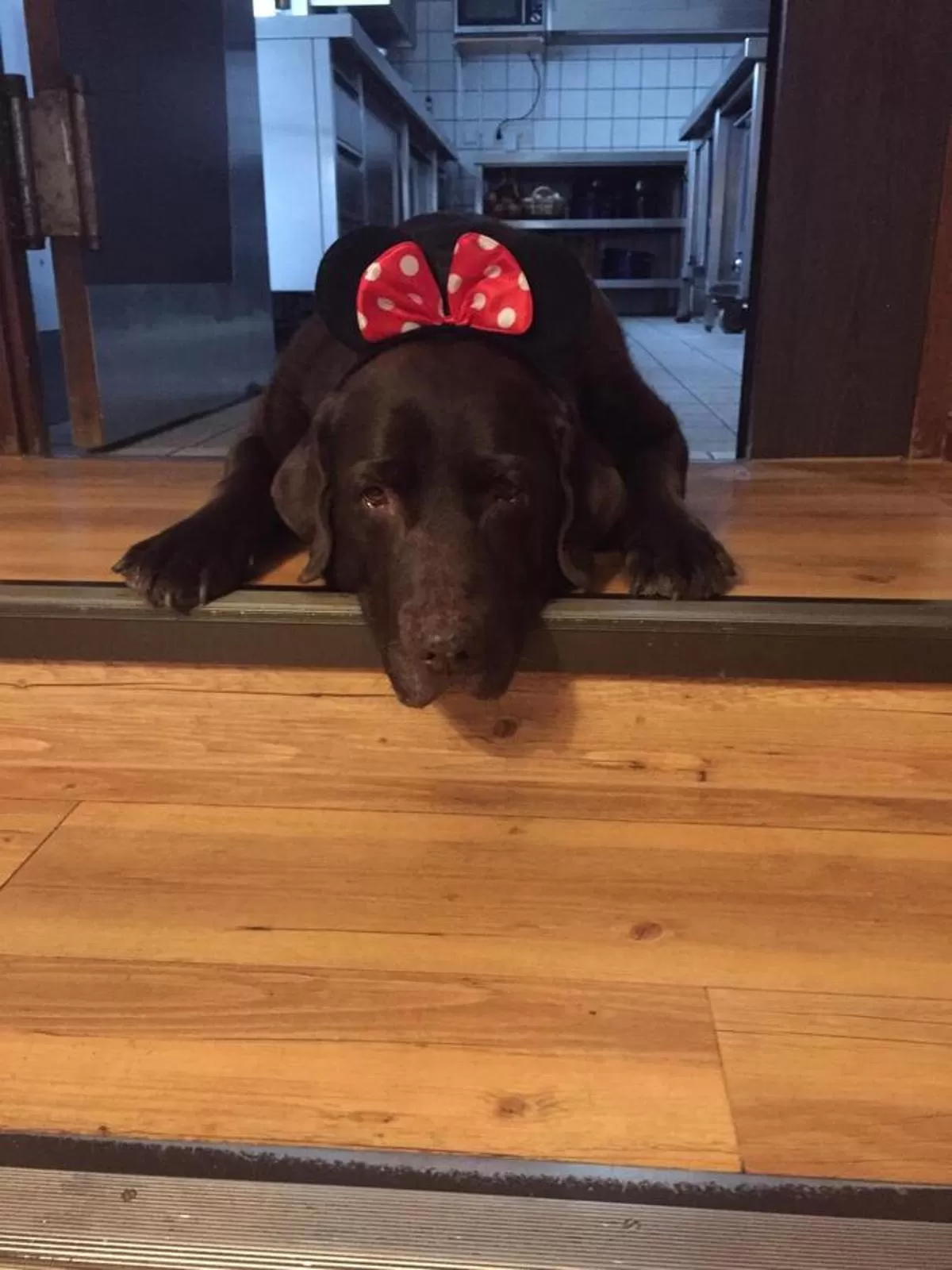 Family in Landhaus Waldziegelhütte