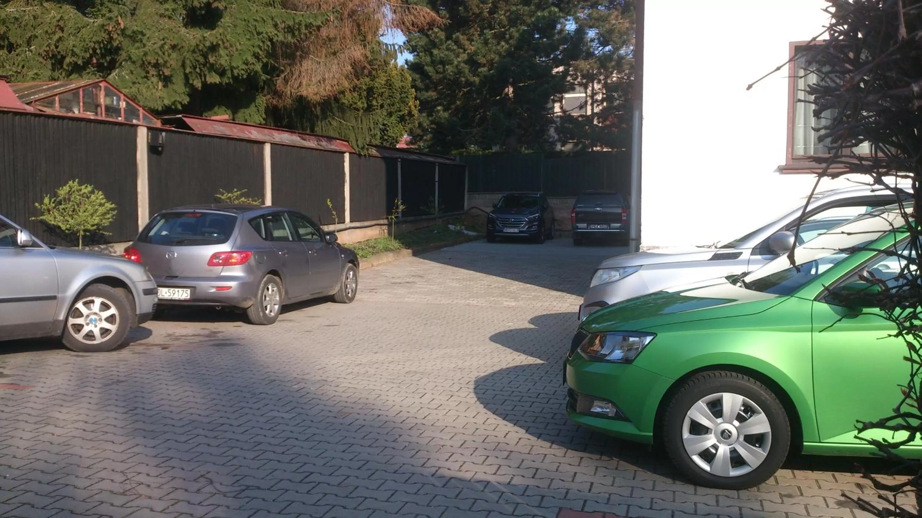 Area and facilities in Hotel Alfa