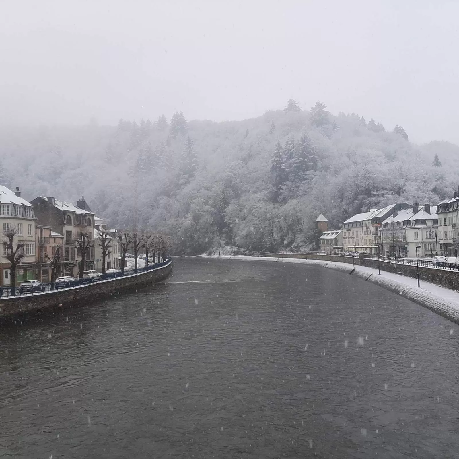 Neighbourhood in Golden Lion