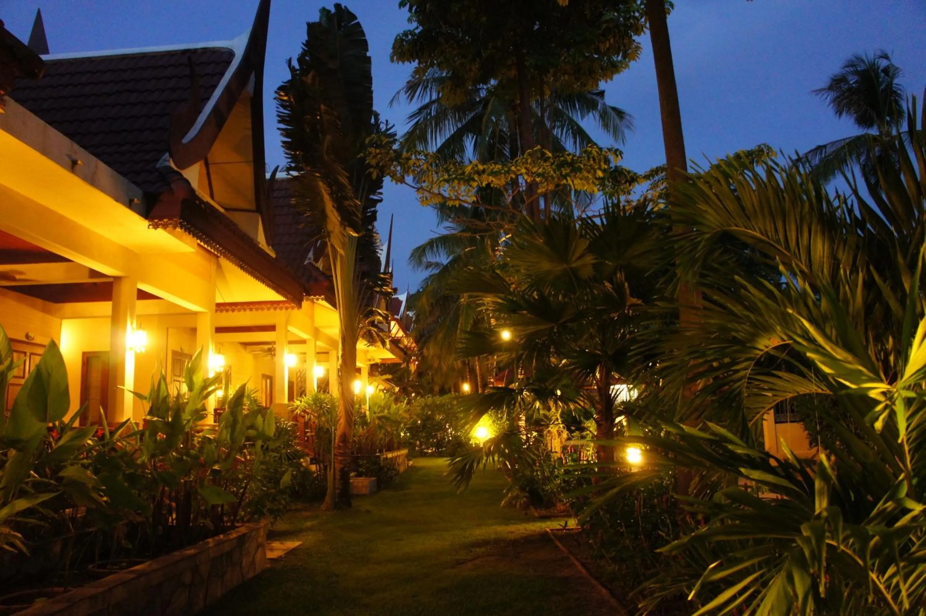 Night in Palm Village