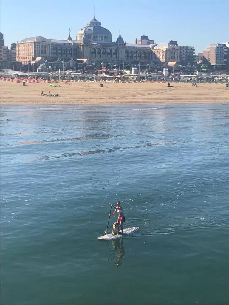Beach in Tiny Beachhouse