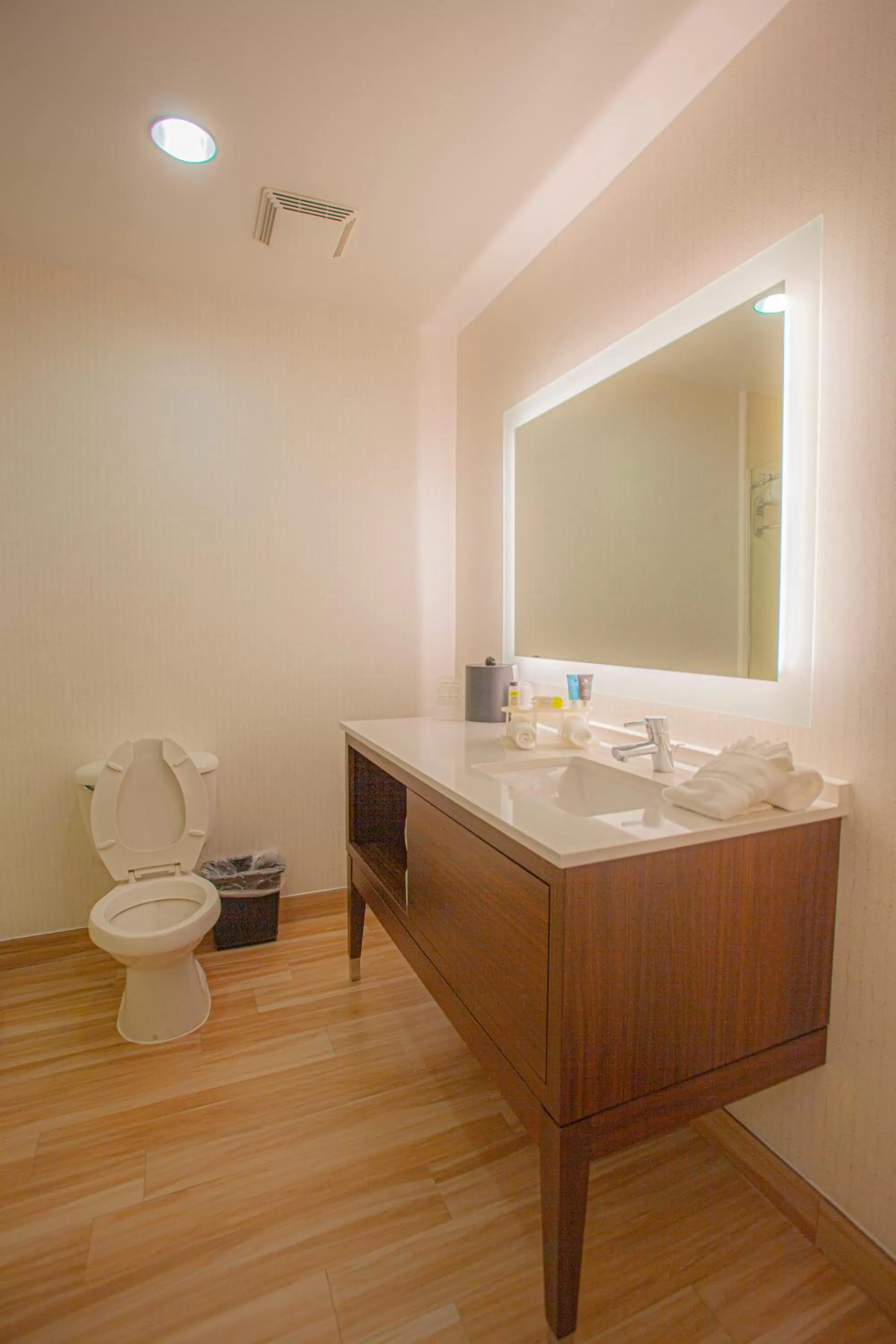 Bathroom in Holiday Inn & Suites Spring - The Woodlands