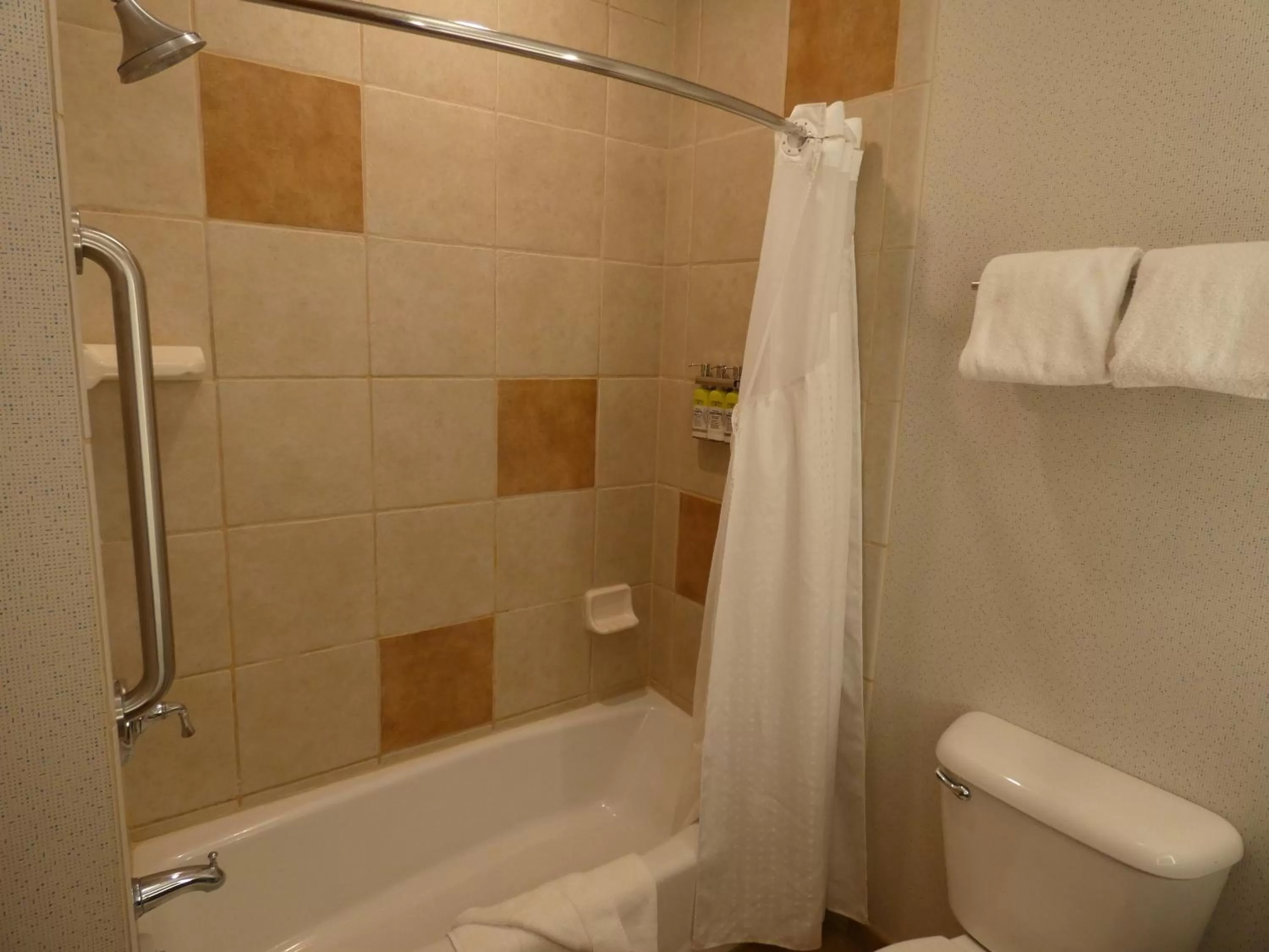 Bathroom in Holiday Inn Express Hotel & Suites Limon I-70/Exit 359 by IHG