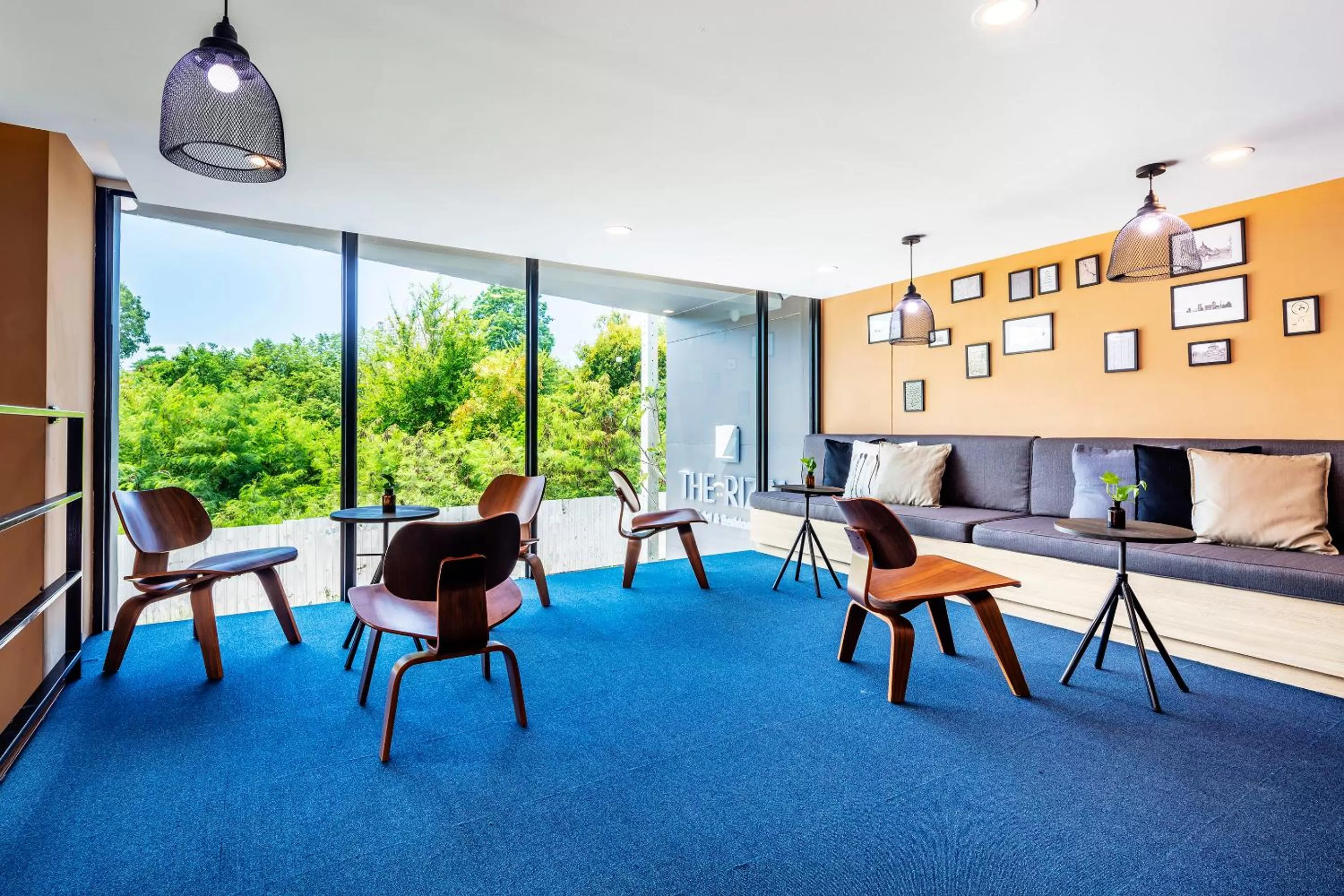 Lounge or bar in The Rizin