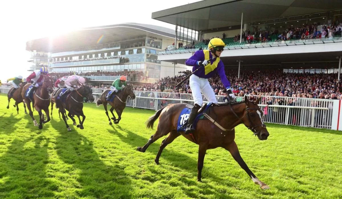 Travelodge Plus Galway