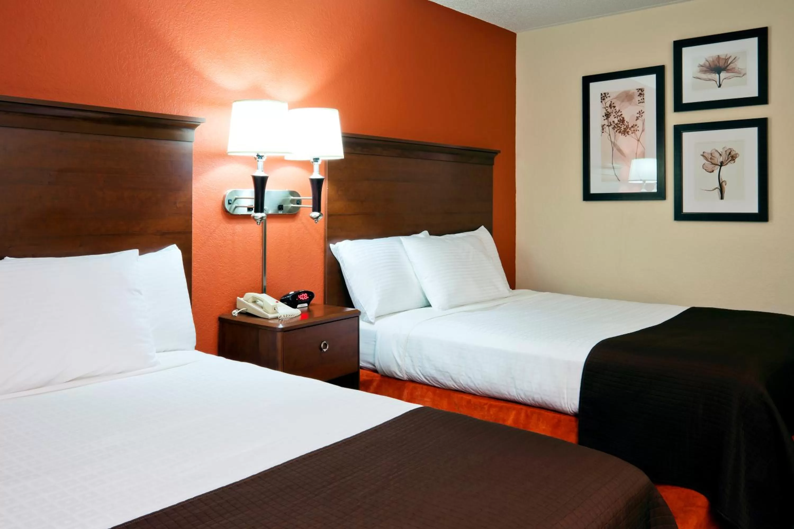 Photo of the whole room, Bed in Comfort Inn & Suites