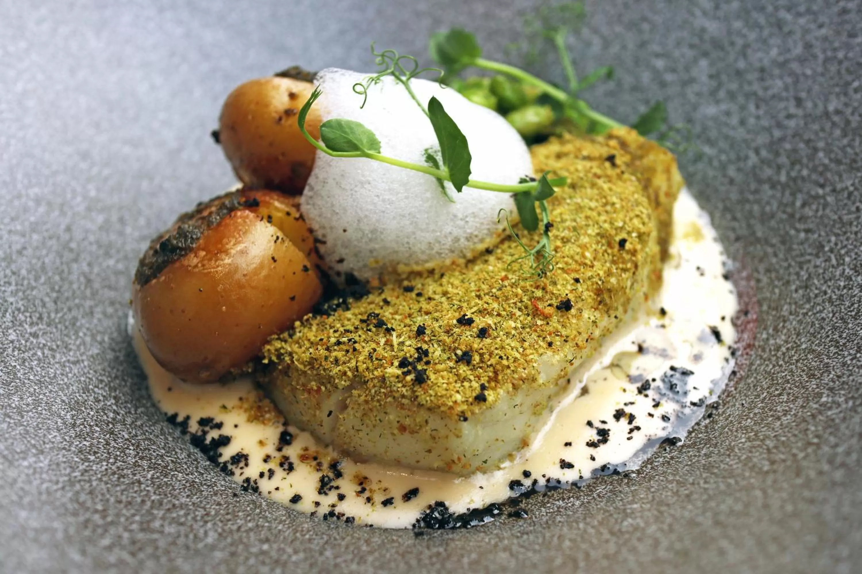 Restaurant/places to eat in The Verdandi Hotel