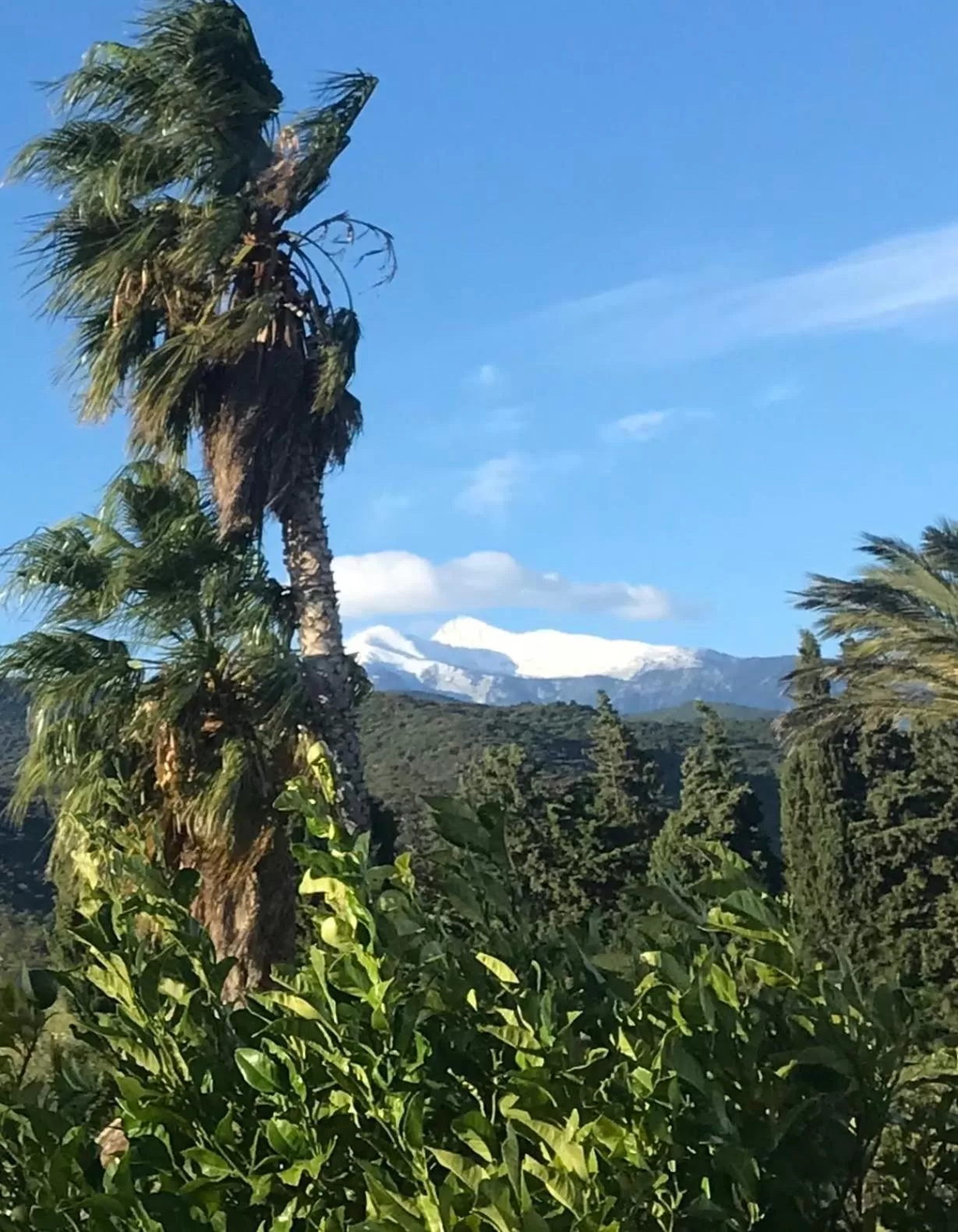 View (from property/room) in MAS TRAMONTANE chambres d'hôtes avec parc arboré & piscine