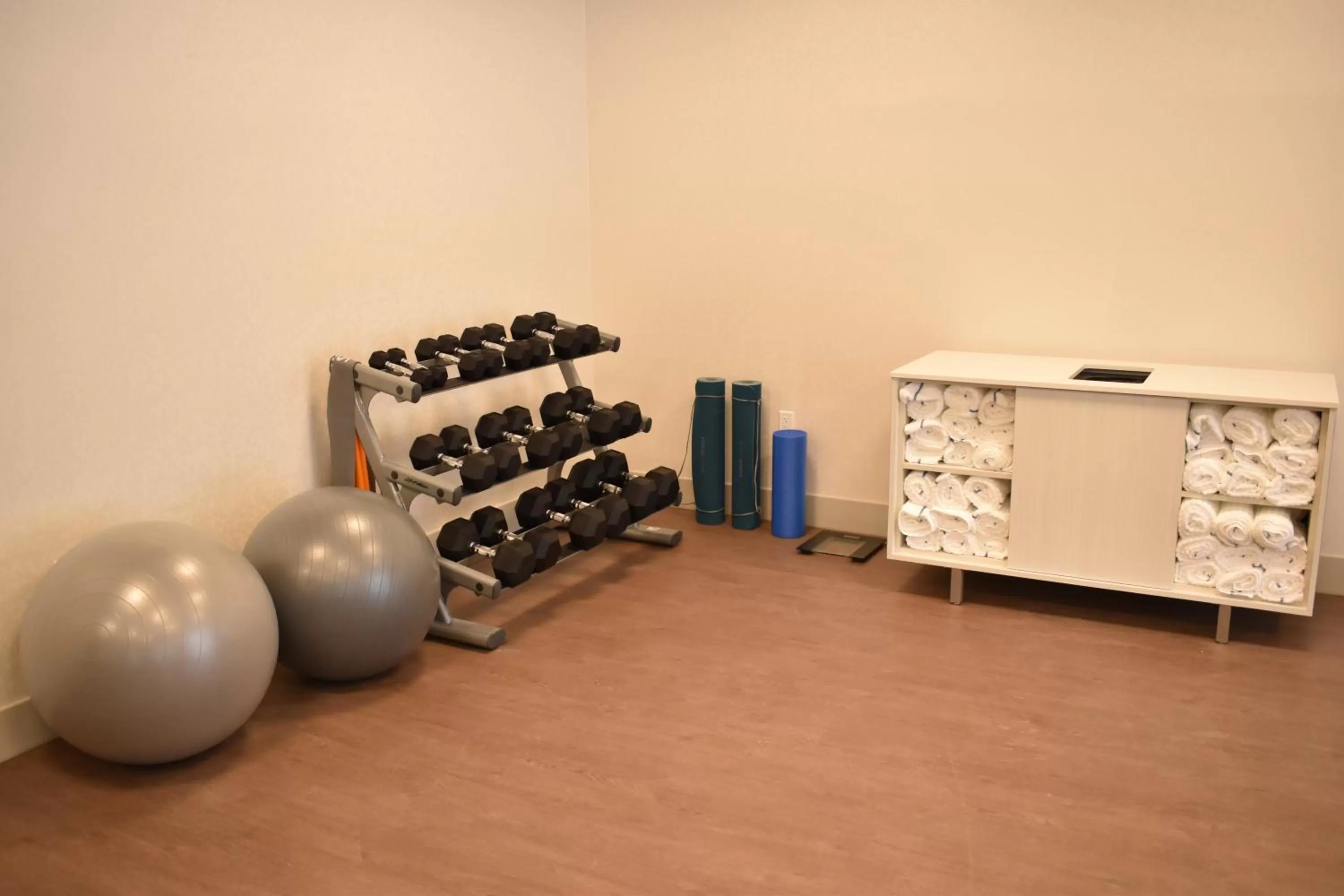 Fitness centre/facilities in Holiday Inn Express & Suites - Boston South - Randolph by IHG