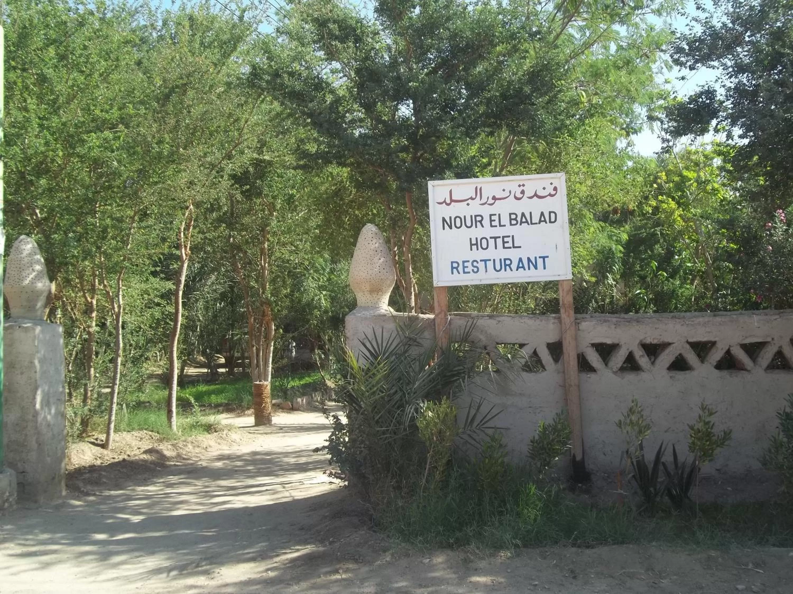 Facade/entrance in Nour El Balad