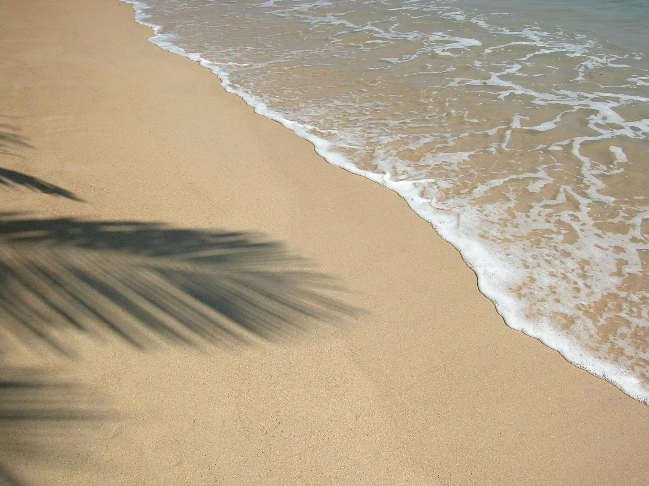 Other in The Privilege Hotel Ezra Beach Club