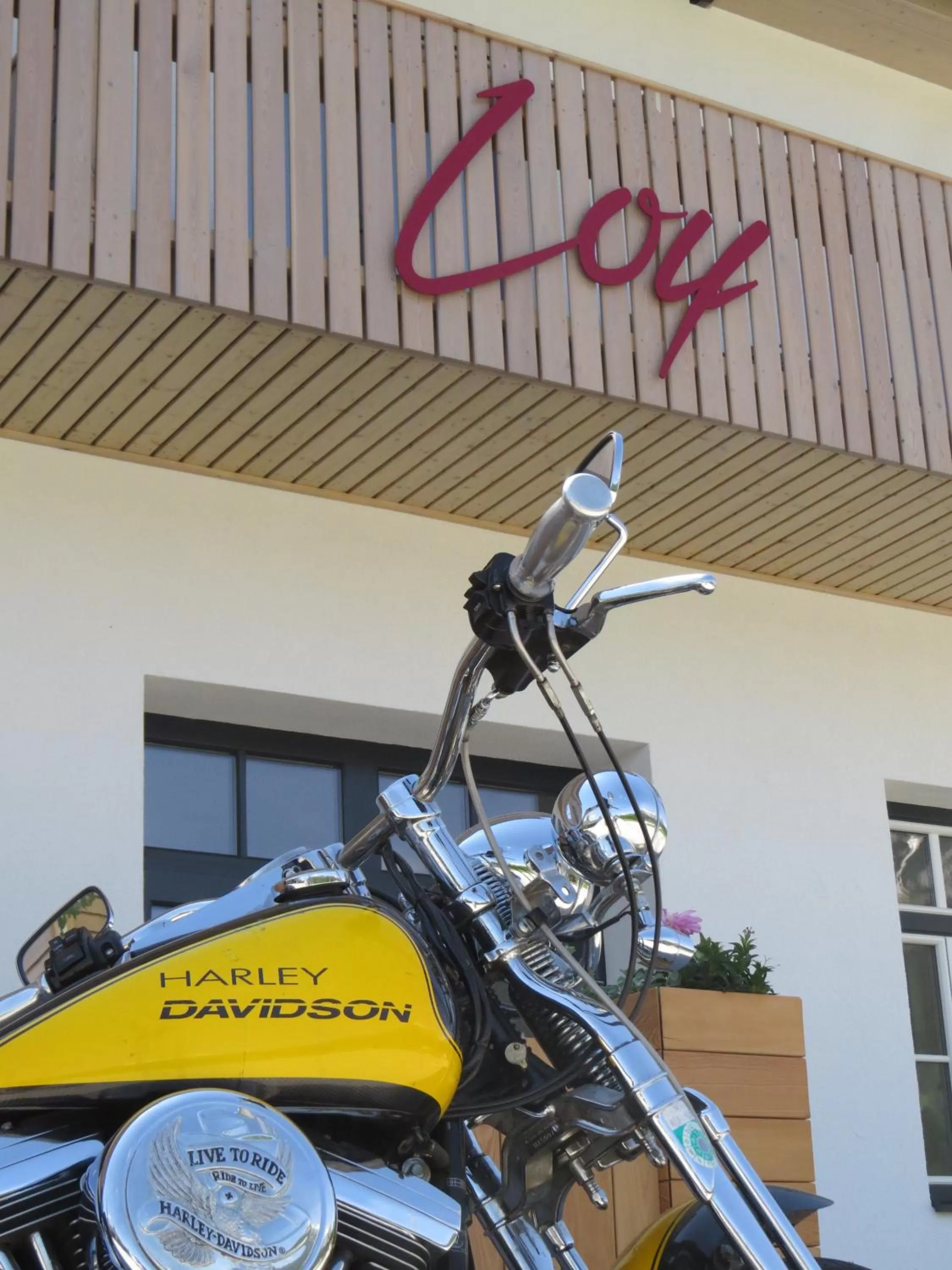 Activities in Hotel Loy