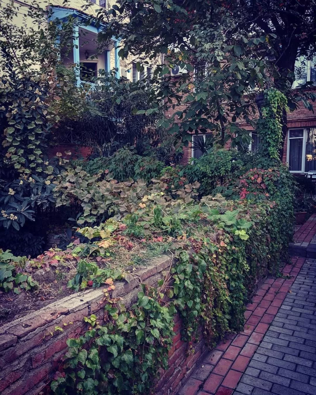 Garden in Hotel Kalanga