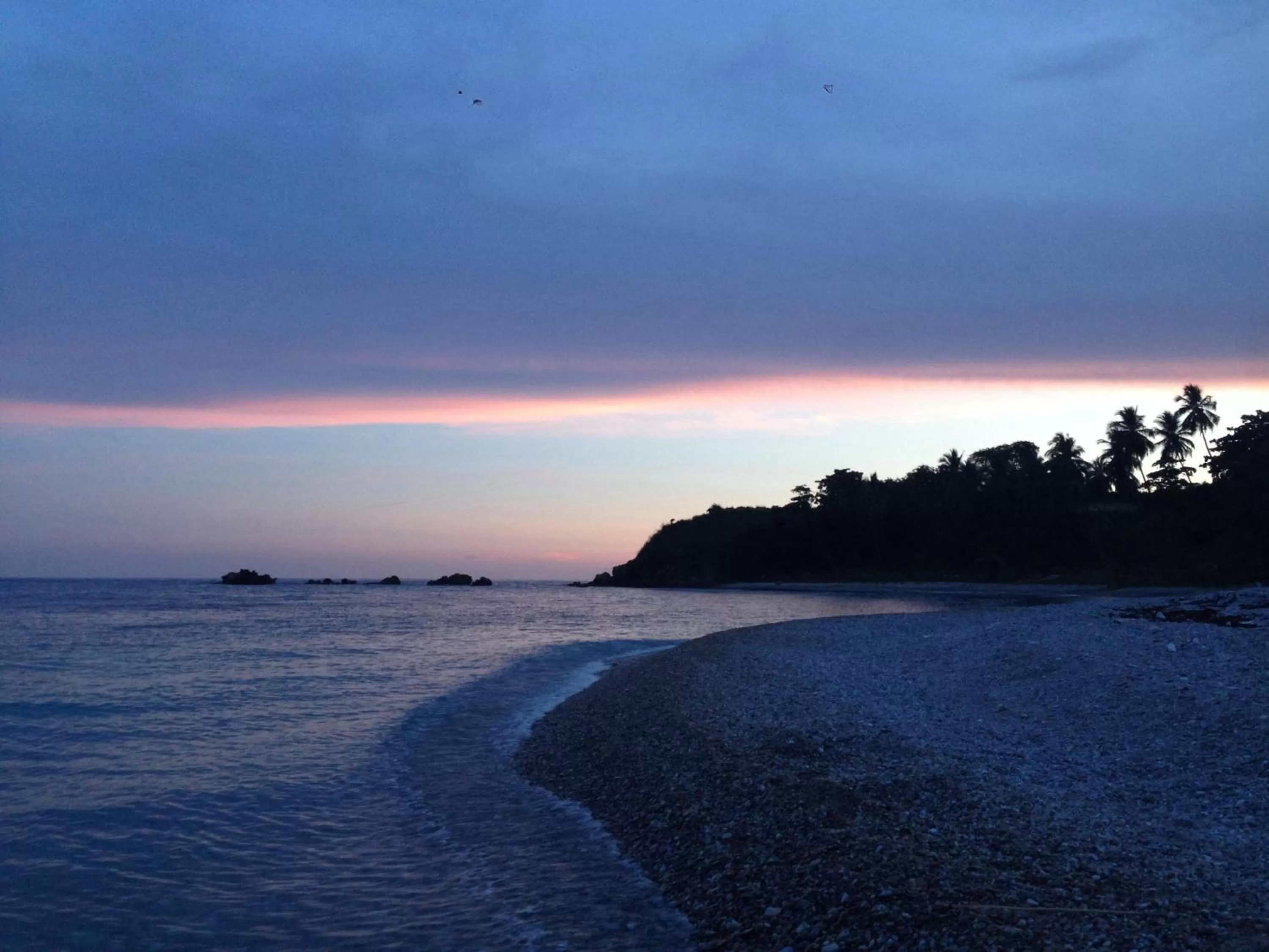 Natural landscape, Beach in Hotel Al Mare