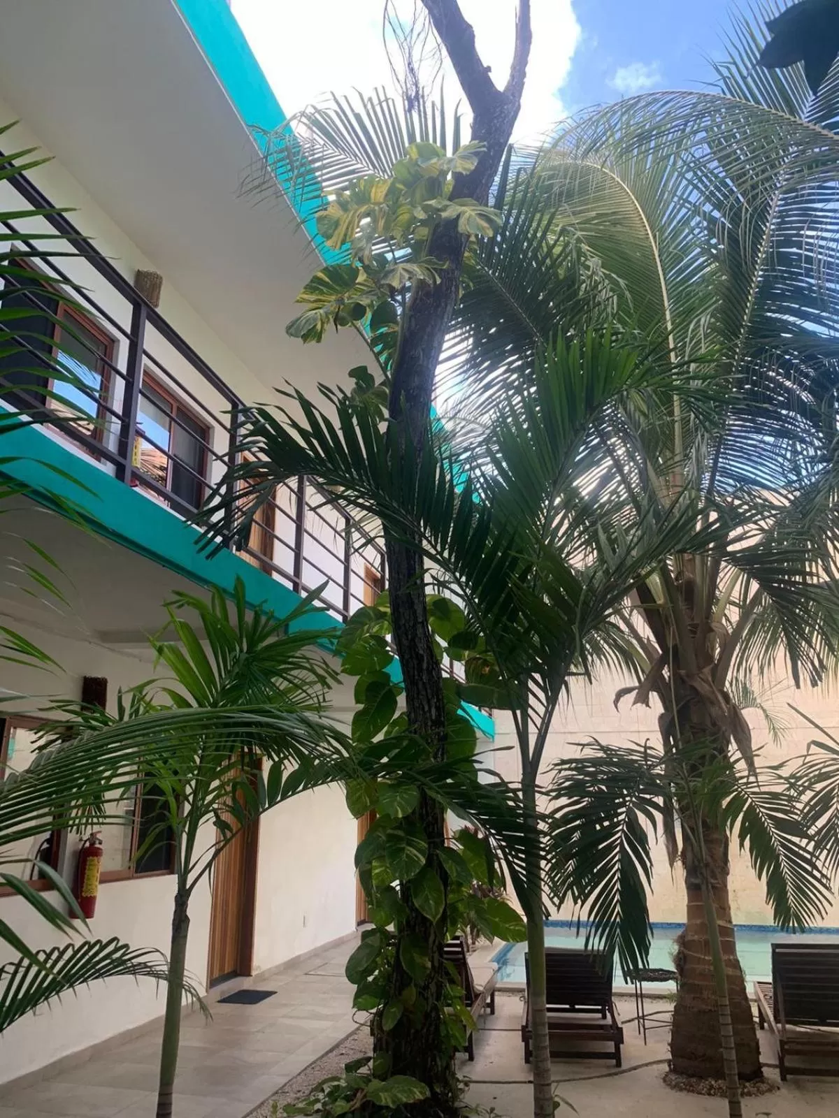 Property building in Los Arcos Hotel - TULUM