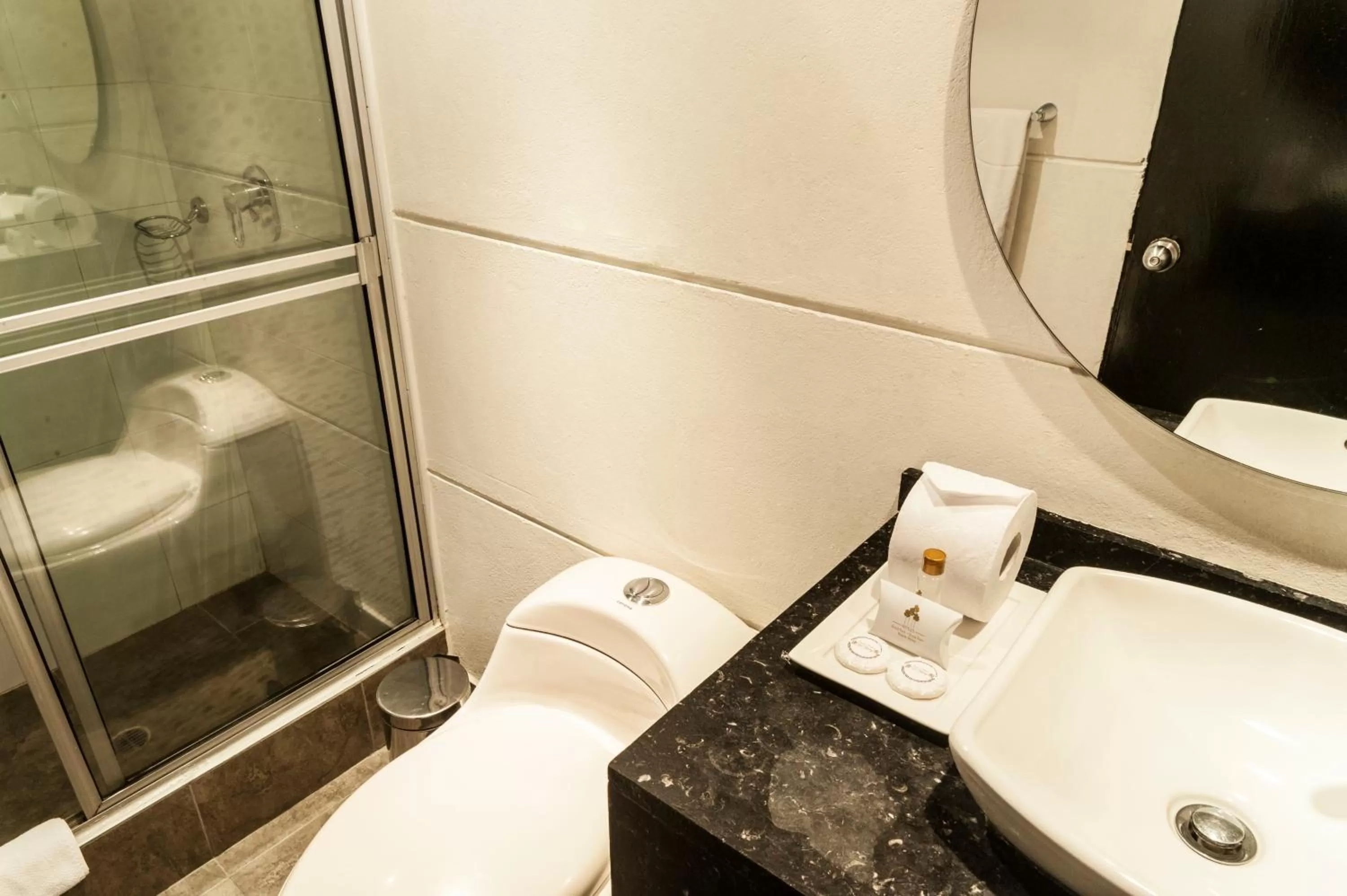 Bathroom in Hotel Bogota Virrey