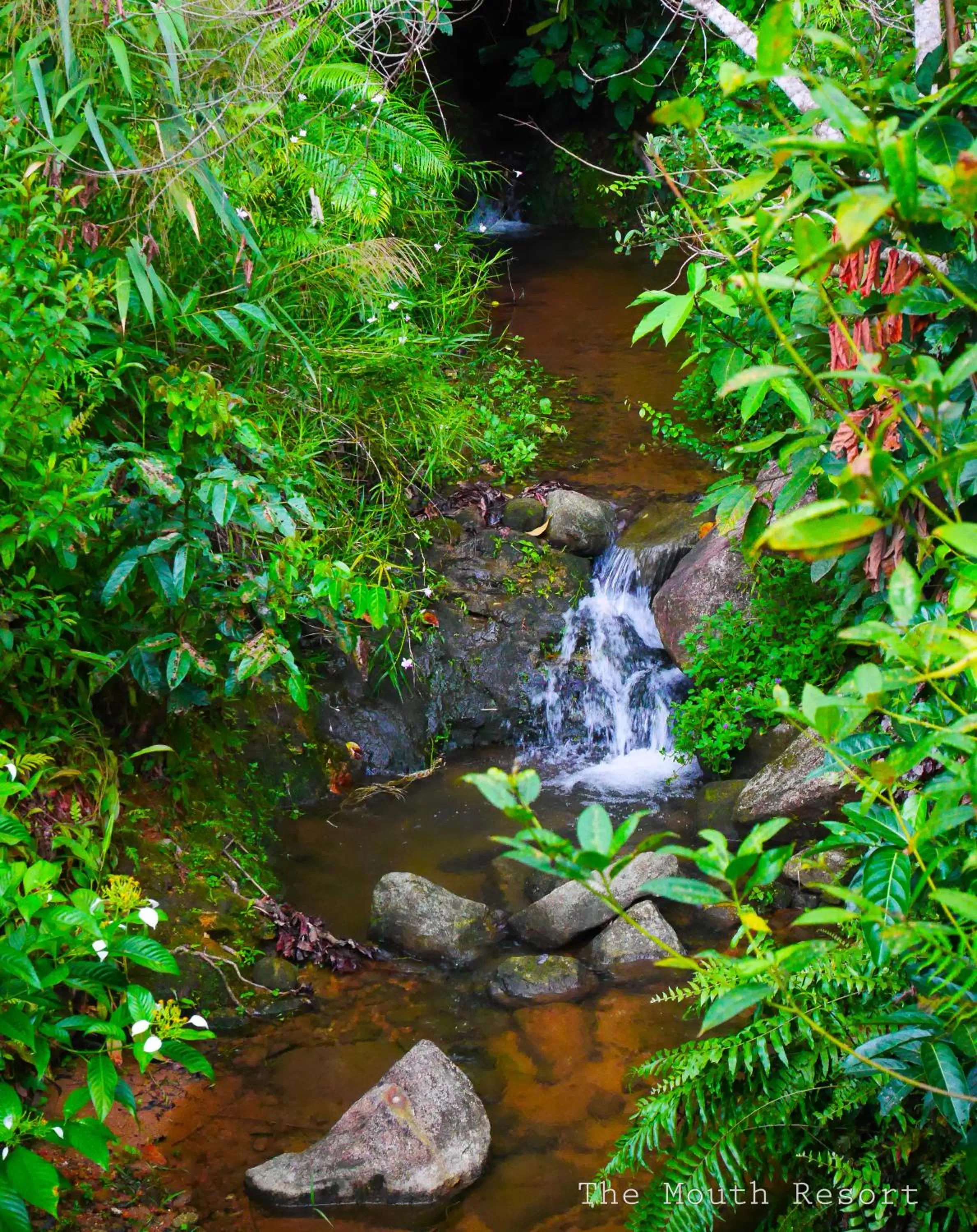 Property building in The Mouth Resort - SHA Extra Plus