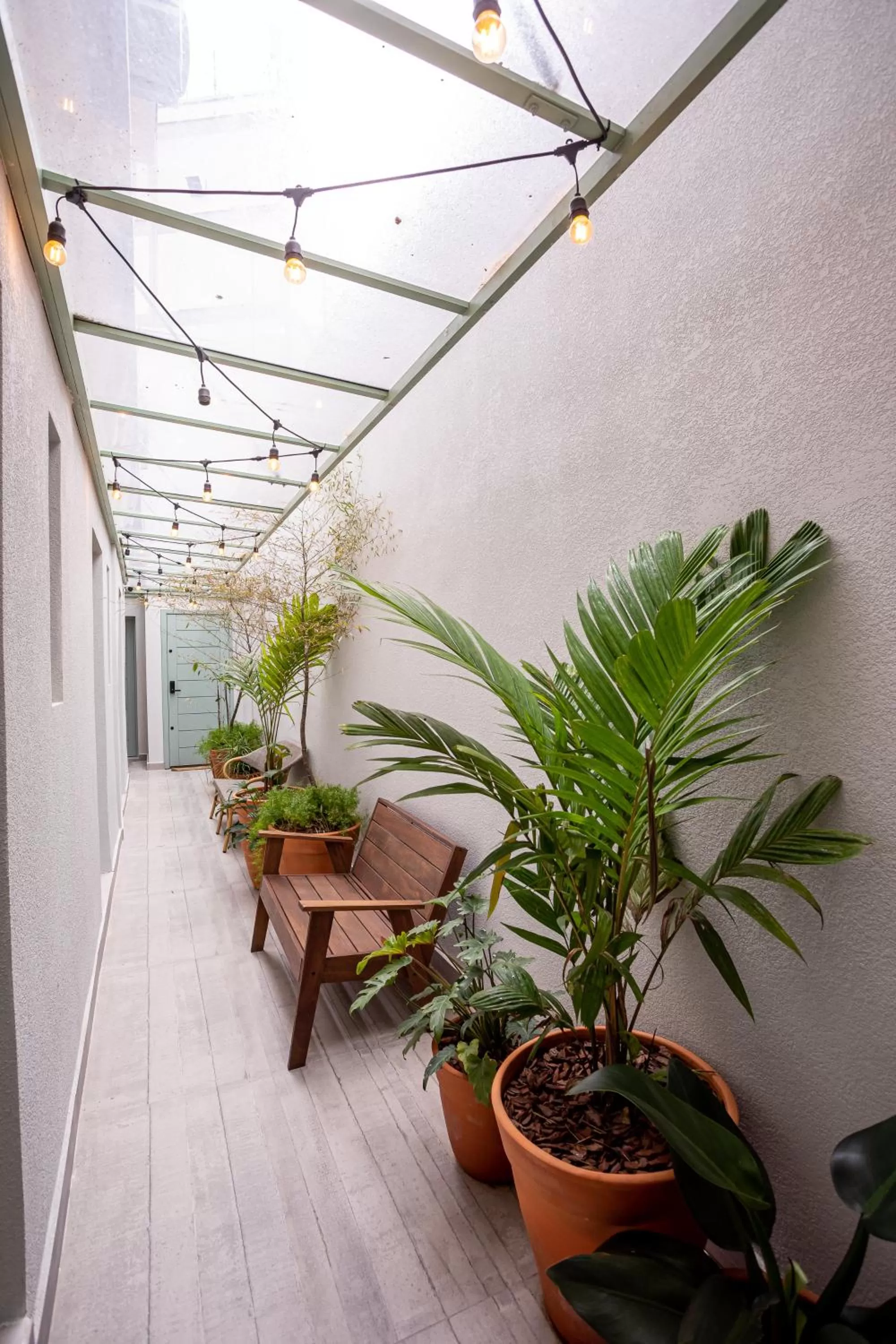 Garden view in Casa Savana