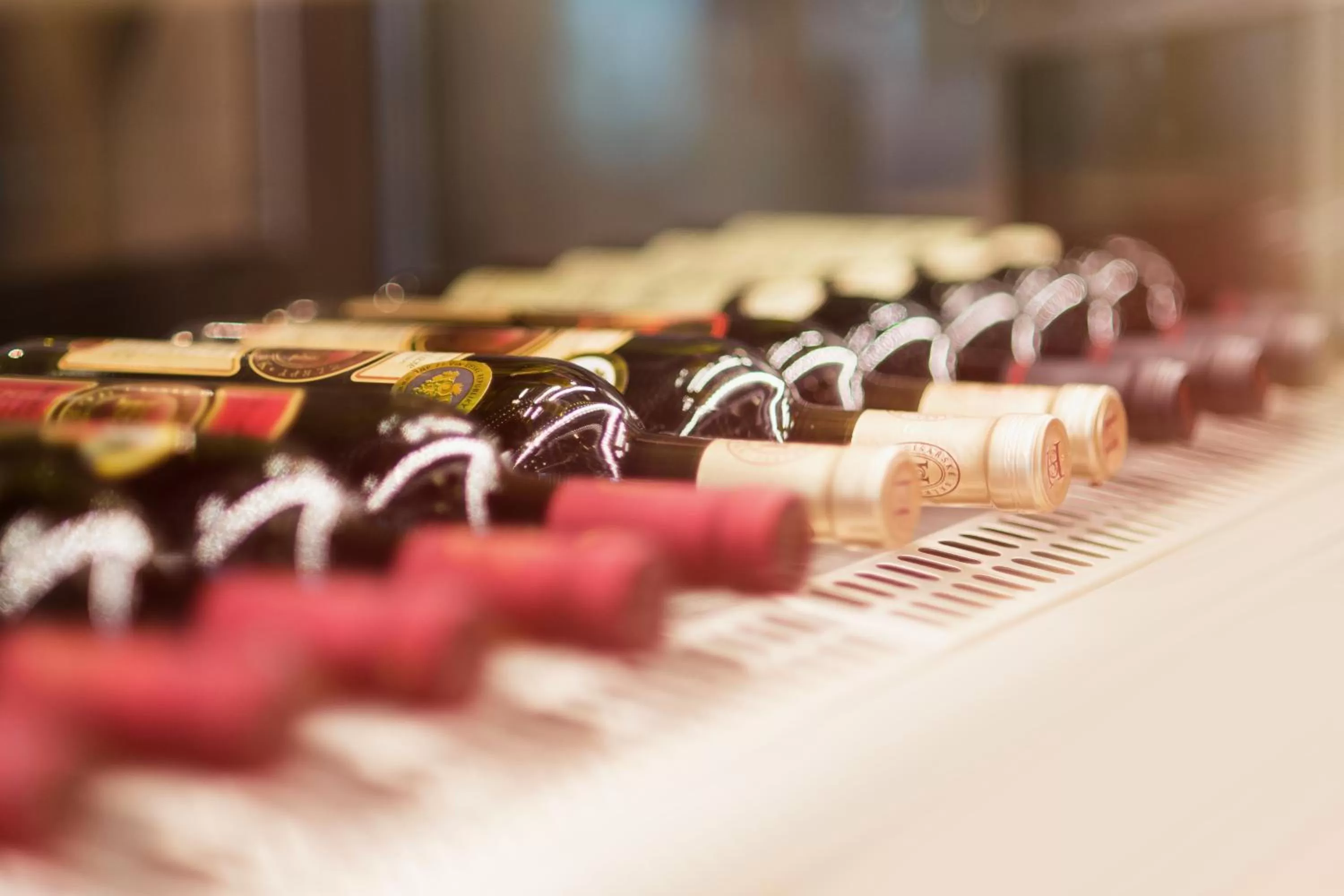 Alcoholic drinks in Hotel Atom Třebíč