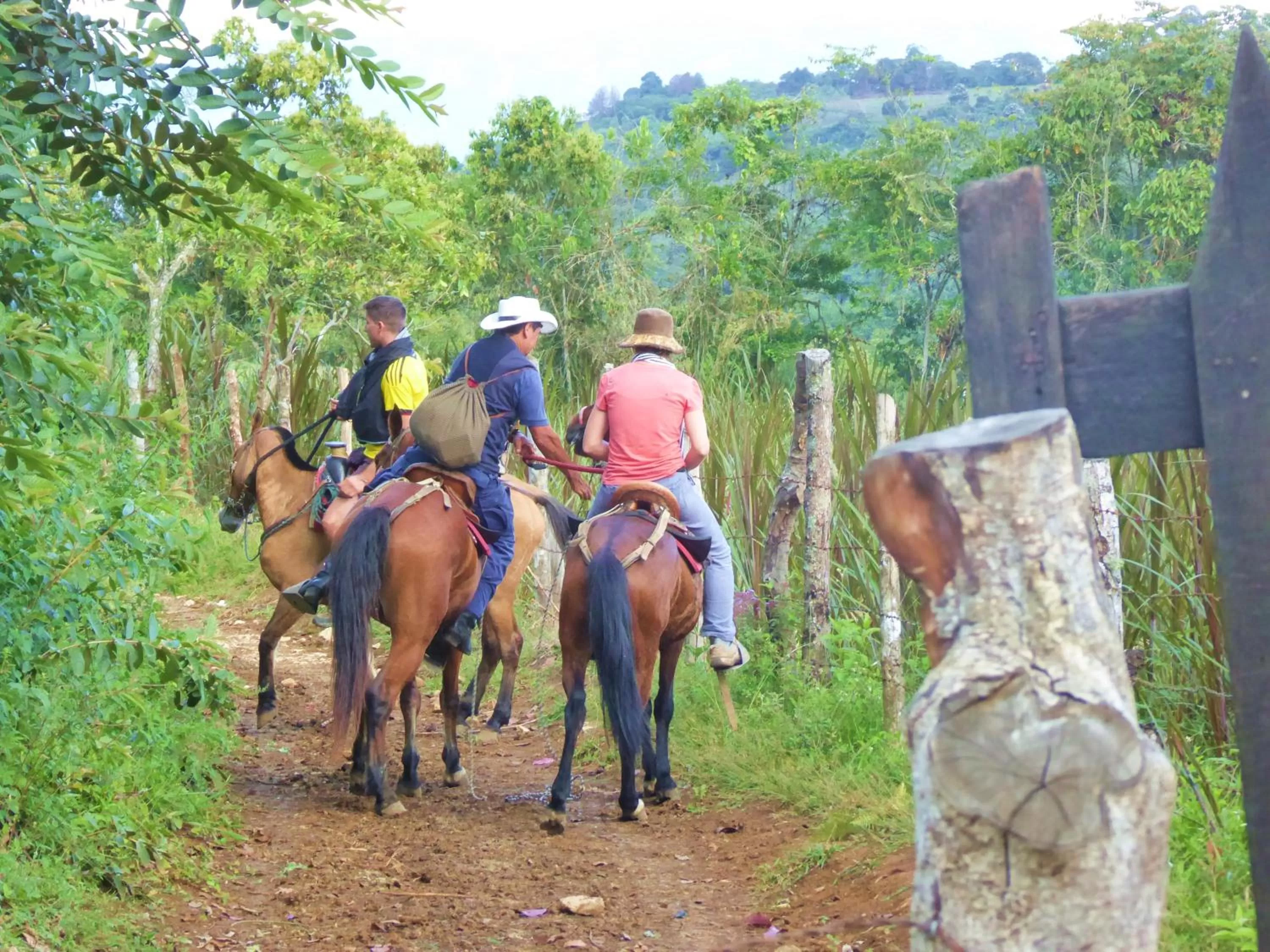 Horse-riding, Horseback Riding in Finca El Cielo