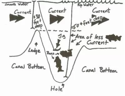 Bird's-eye View in Herring Run Motel and Tiny Cabins