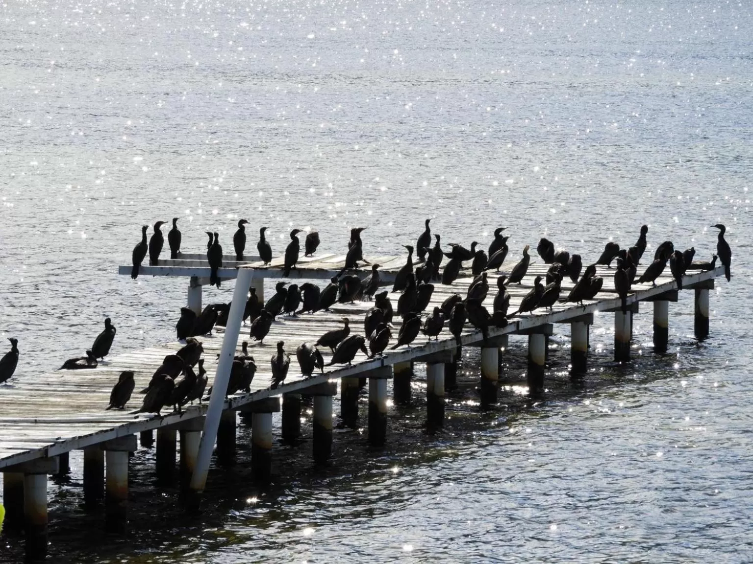 Natural landscape, Beach in Pousada Dunasol Floripa