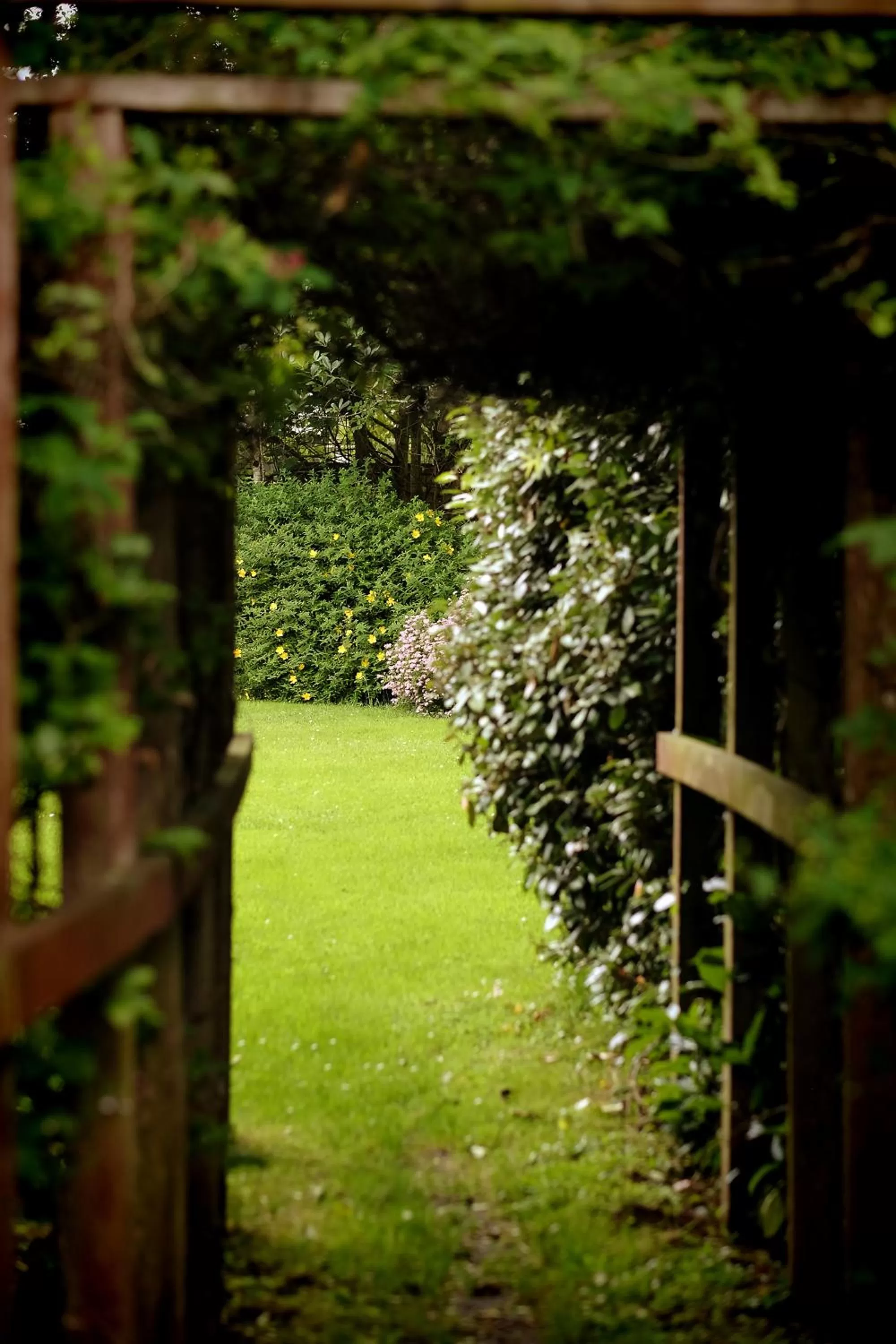 Day, Garden in Racket Hall Country House Golf & Conference Hotel