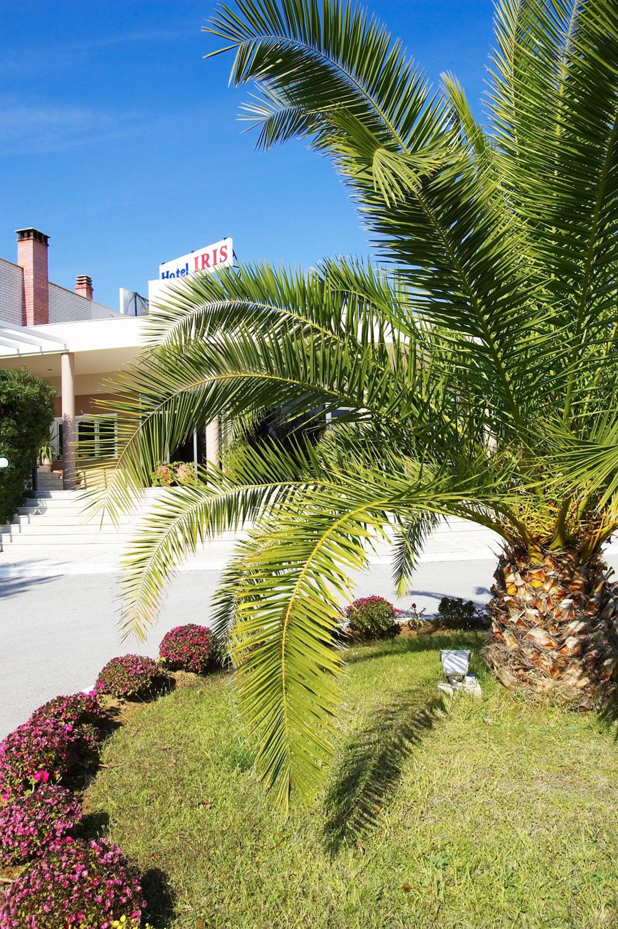 Facade/entrance in Iris Hotel