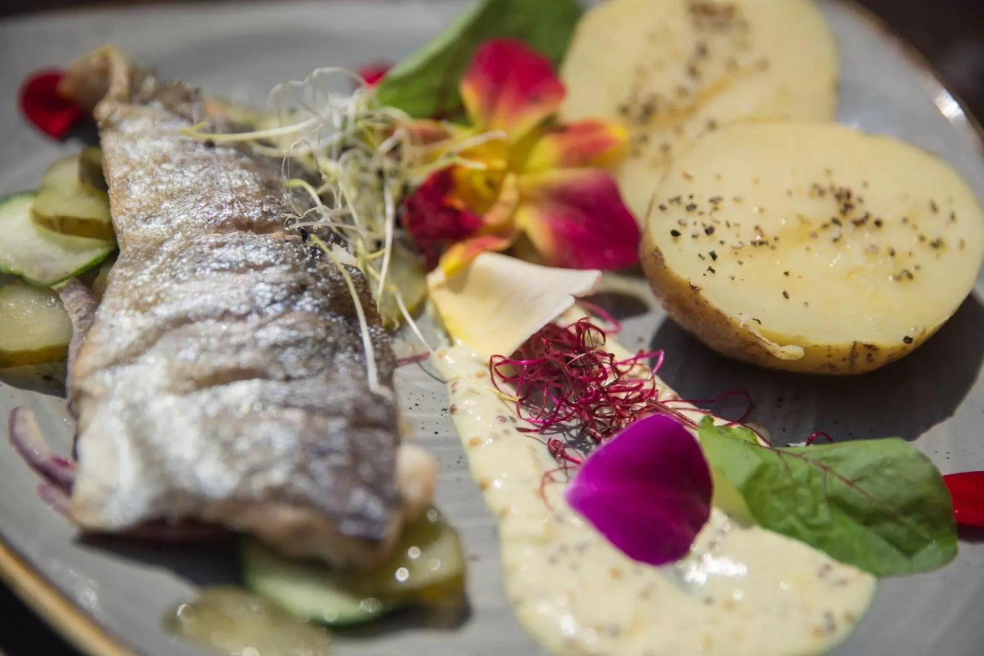 Food close-up, Food in Zamek Uniejów