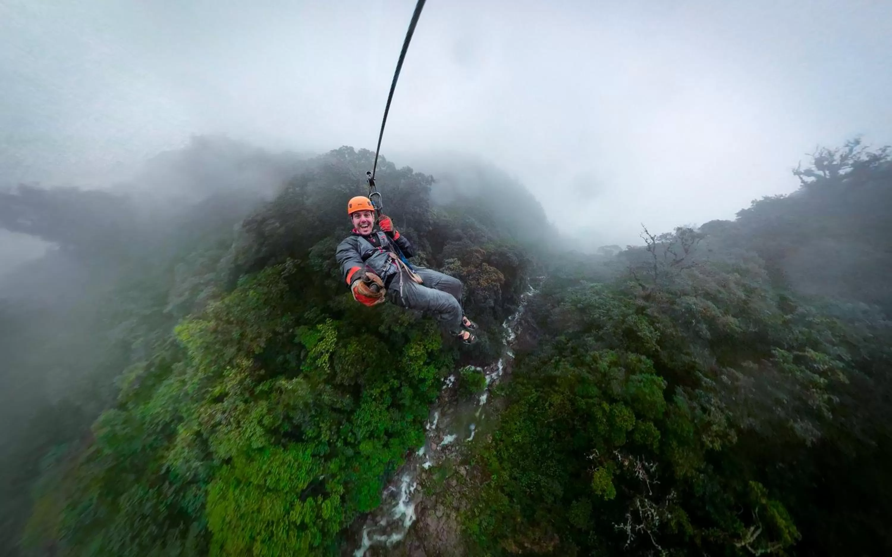 Activities in TREE TREK BOQUETE Adventure Park