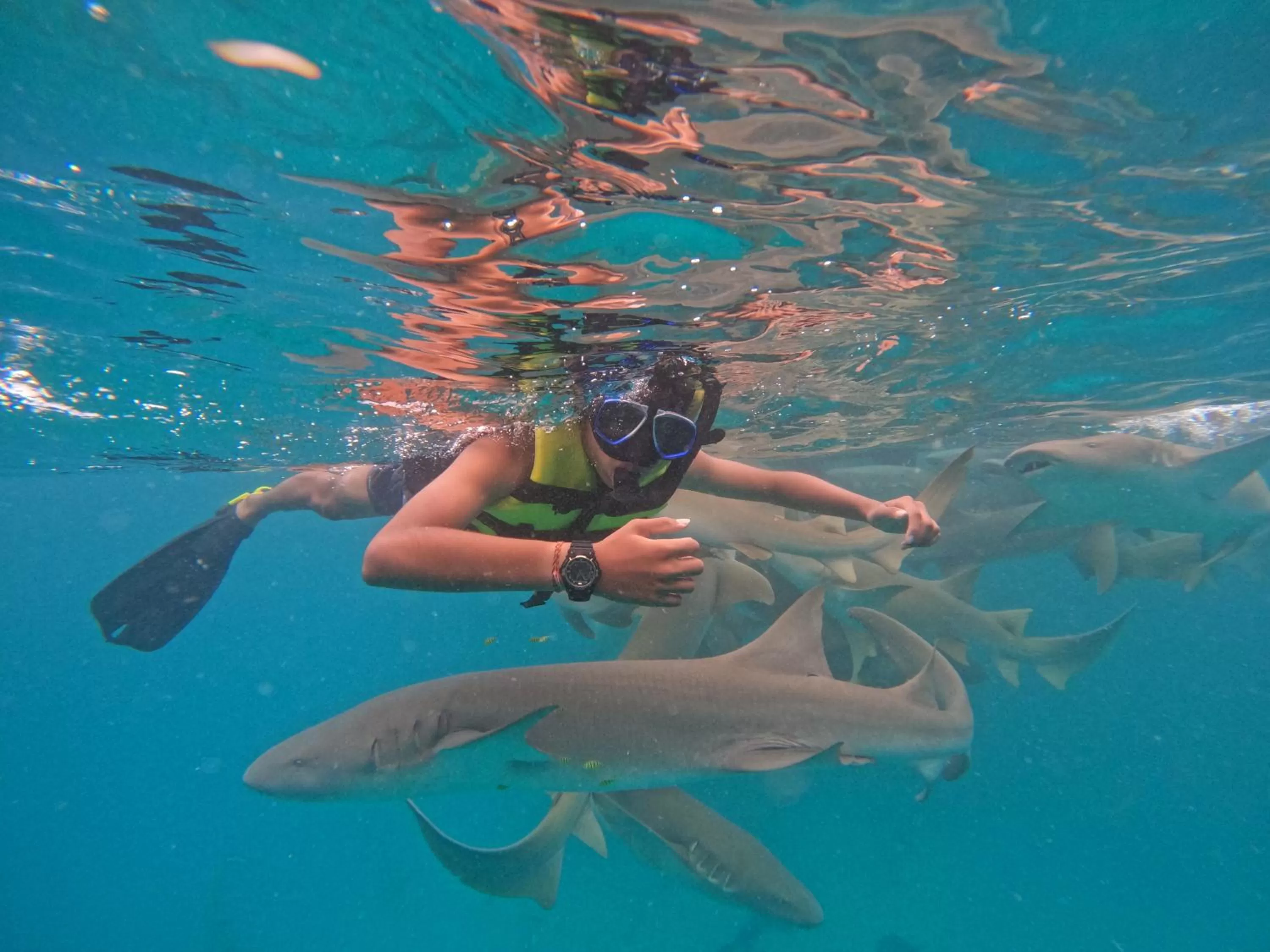 Snorkeling, Snorkeling/Diving in Araamview