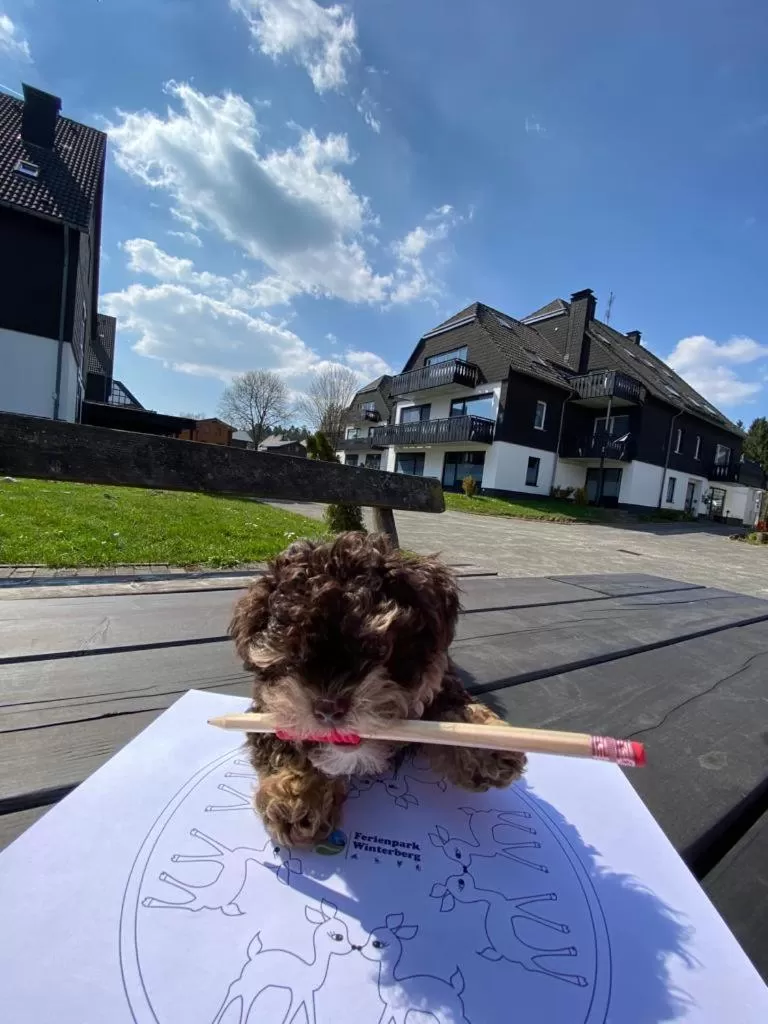 Ferienpark Winterberg